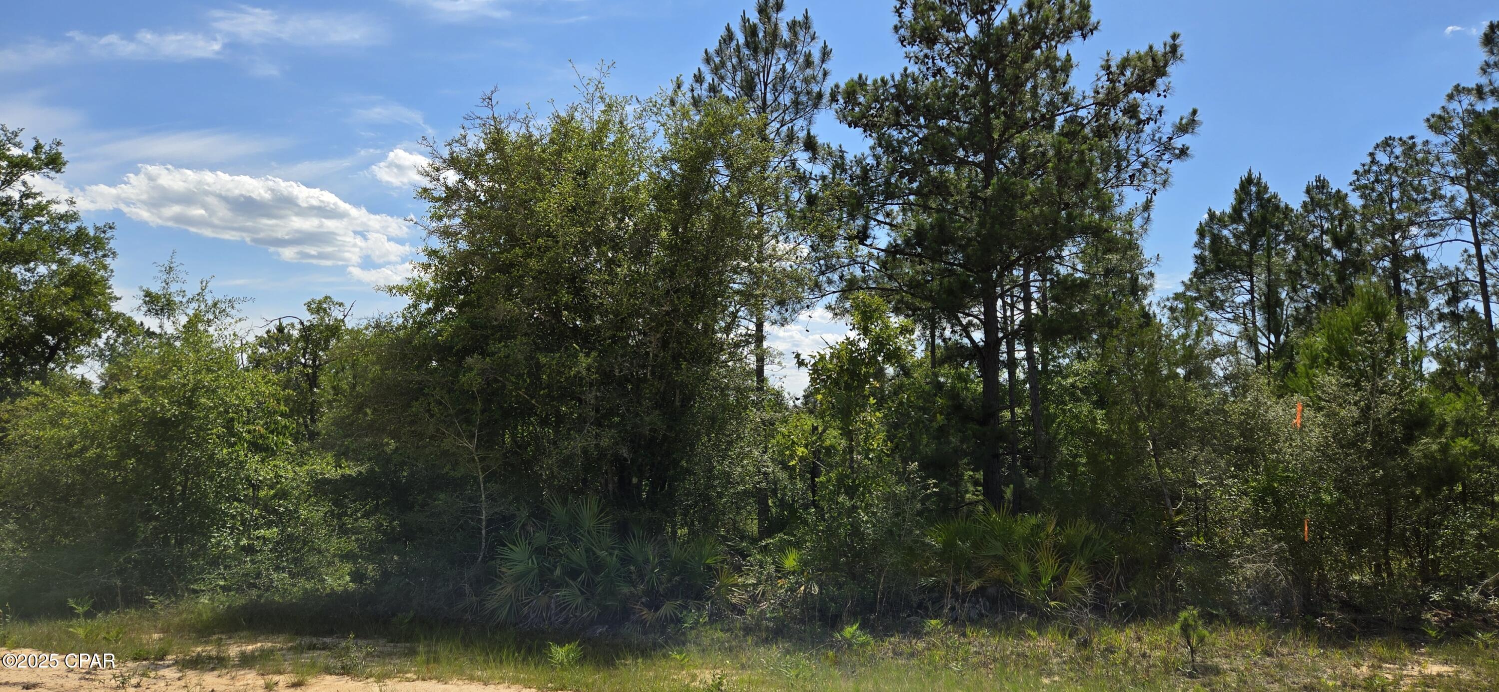Joy Avenue, Marianna, Florida image 2