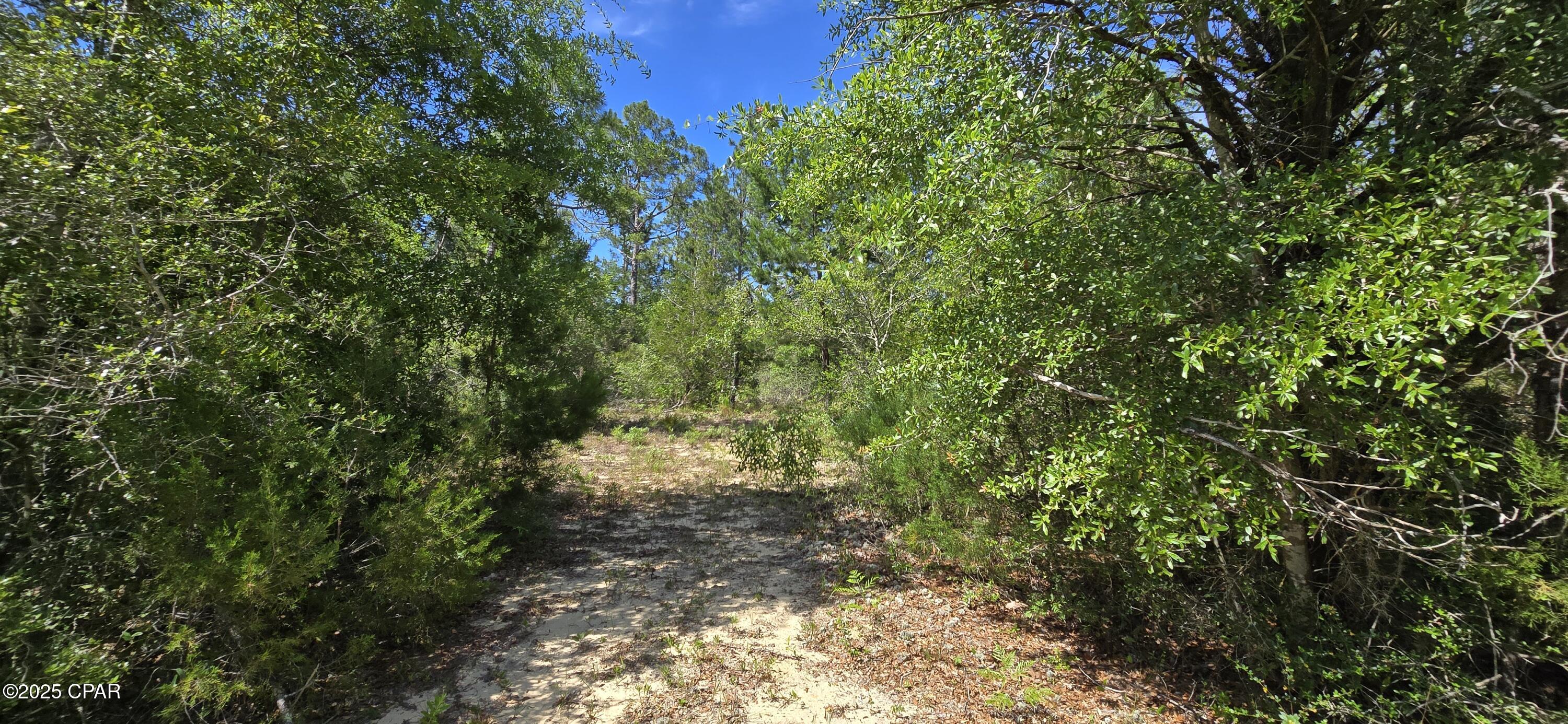 Joy Avenue, Marianna, Florida image 3