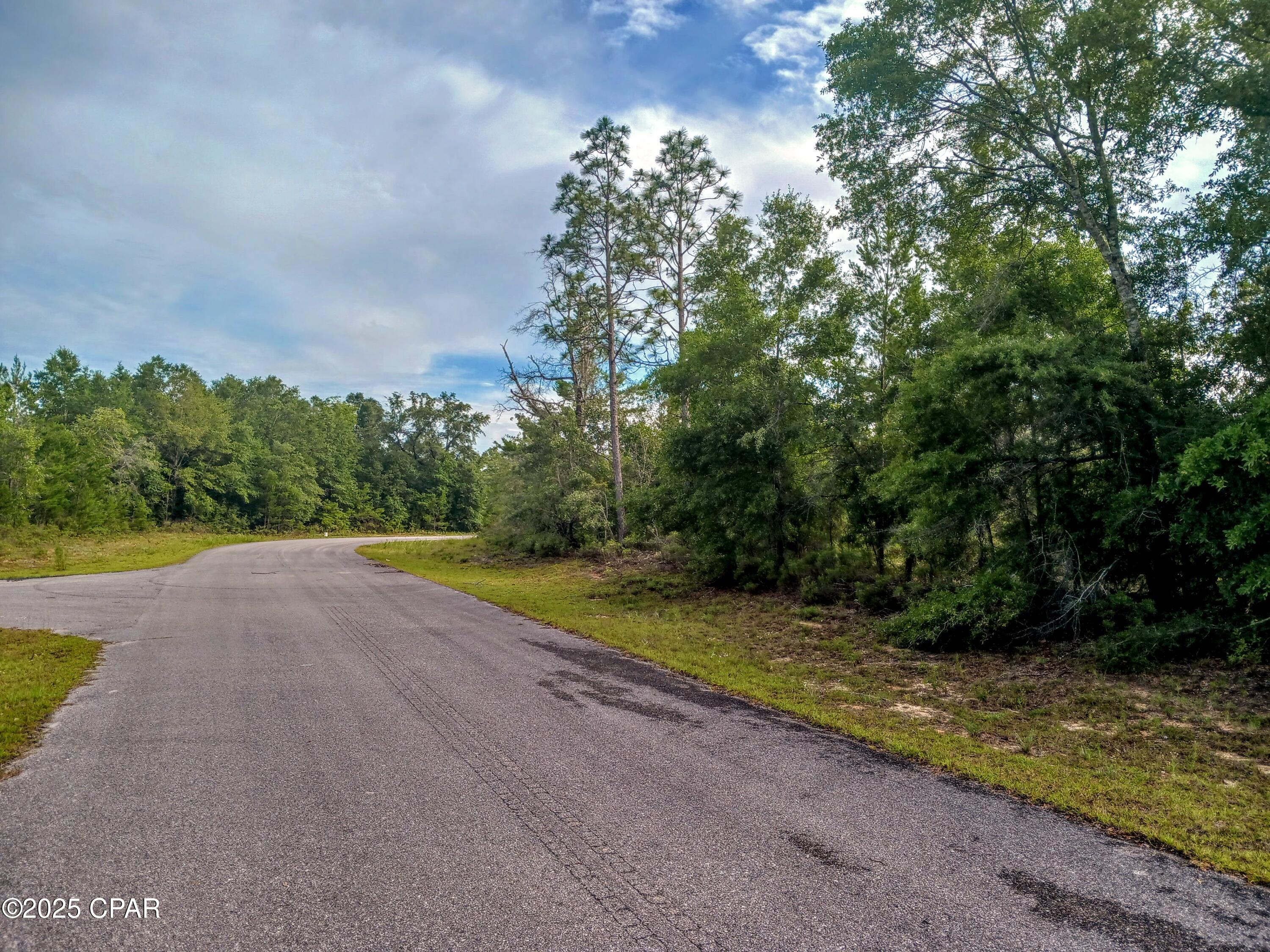 Lot 20 Velvet Drive, Chipley, Florida image 3
