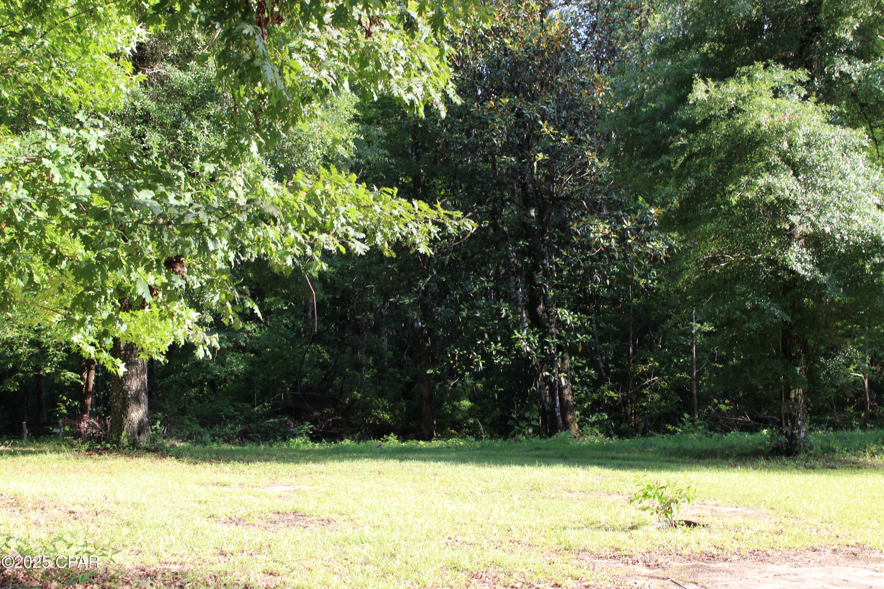 2461 Angelena Court, Chipley, Florida image 12
