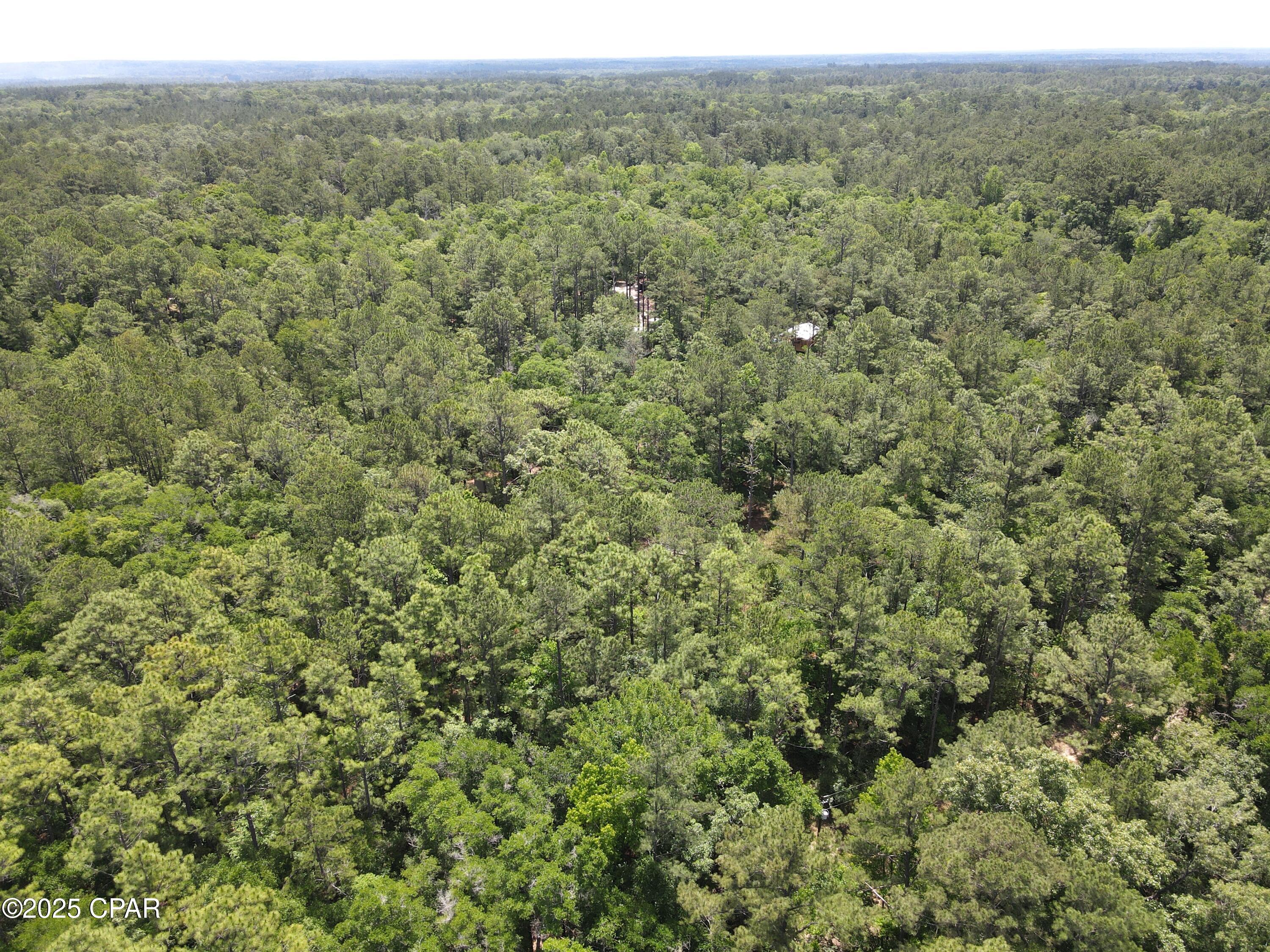 5266 Choctaw Rd Road, Vernon, Florida image 1