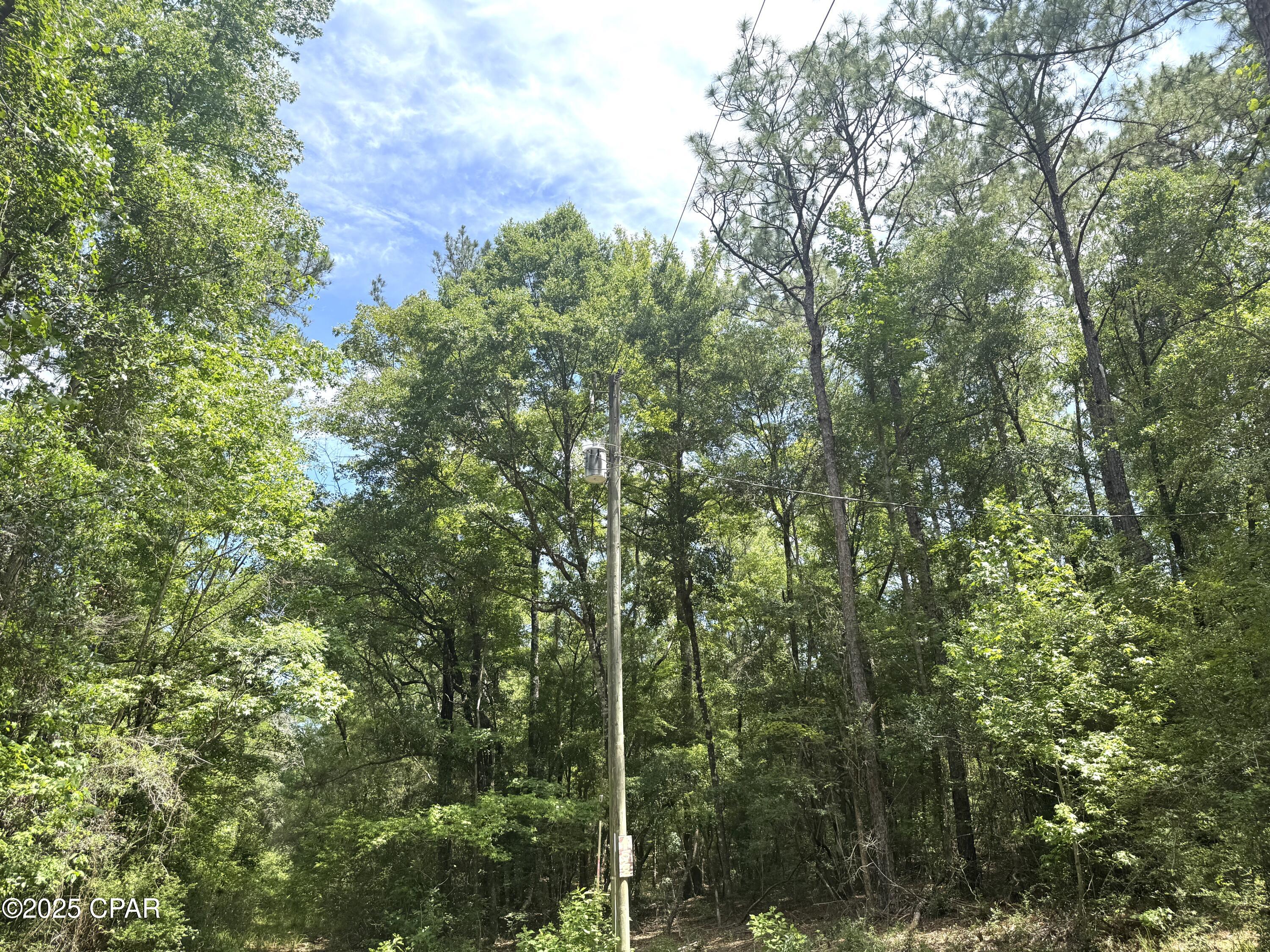 5266 Choctaw Rd Road, Vernon, Florida image 10