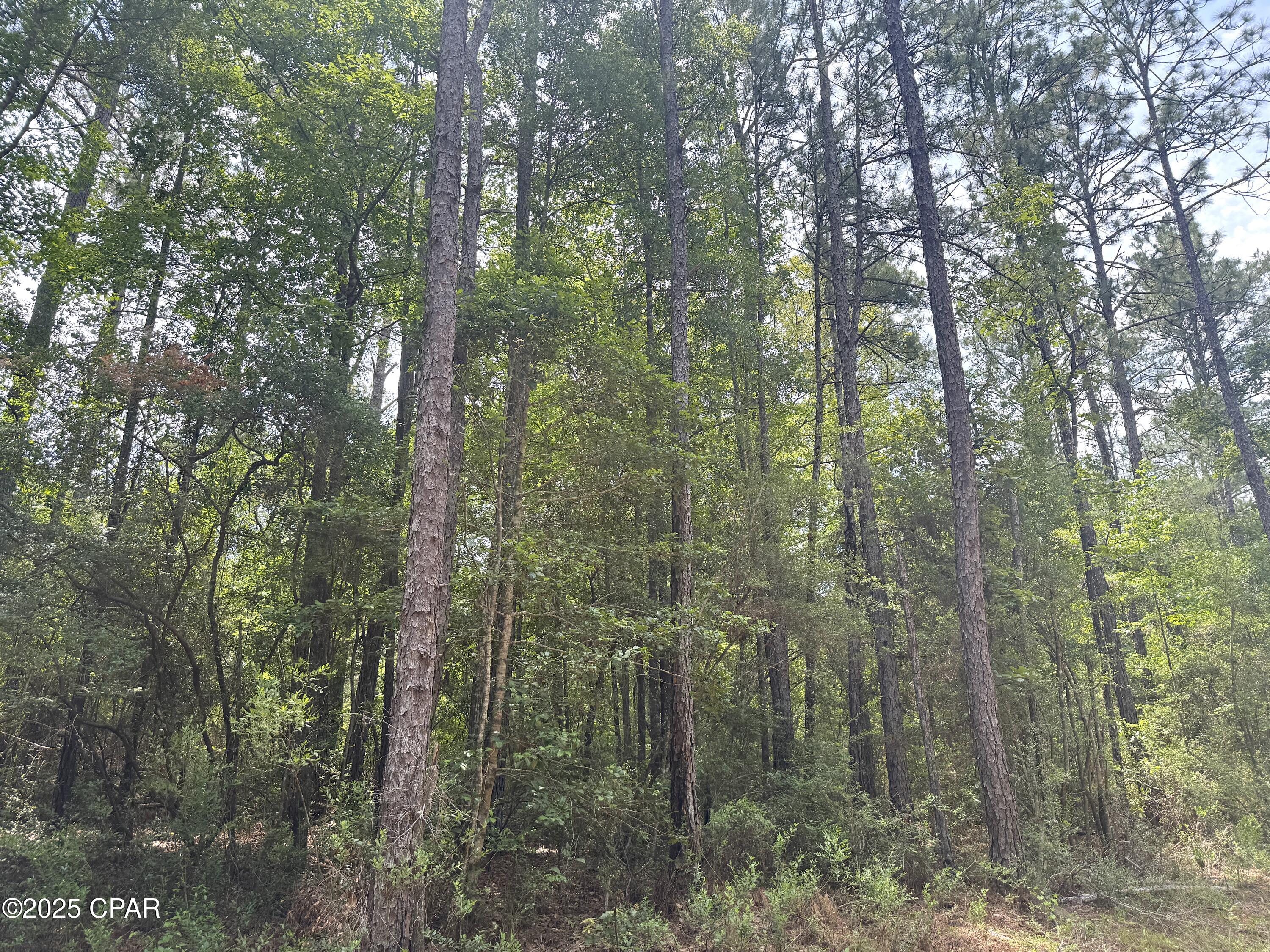 5266 Choctaw Rd Road, Vernon, Florida image 12