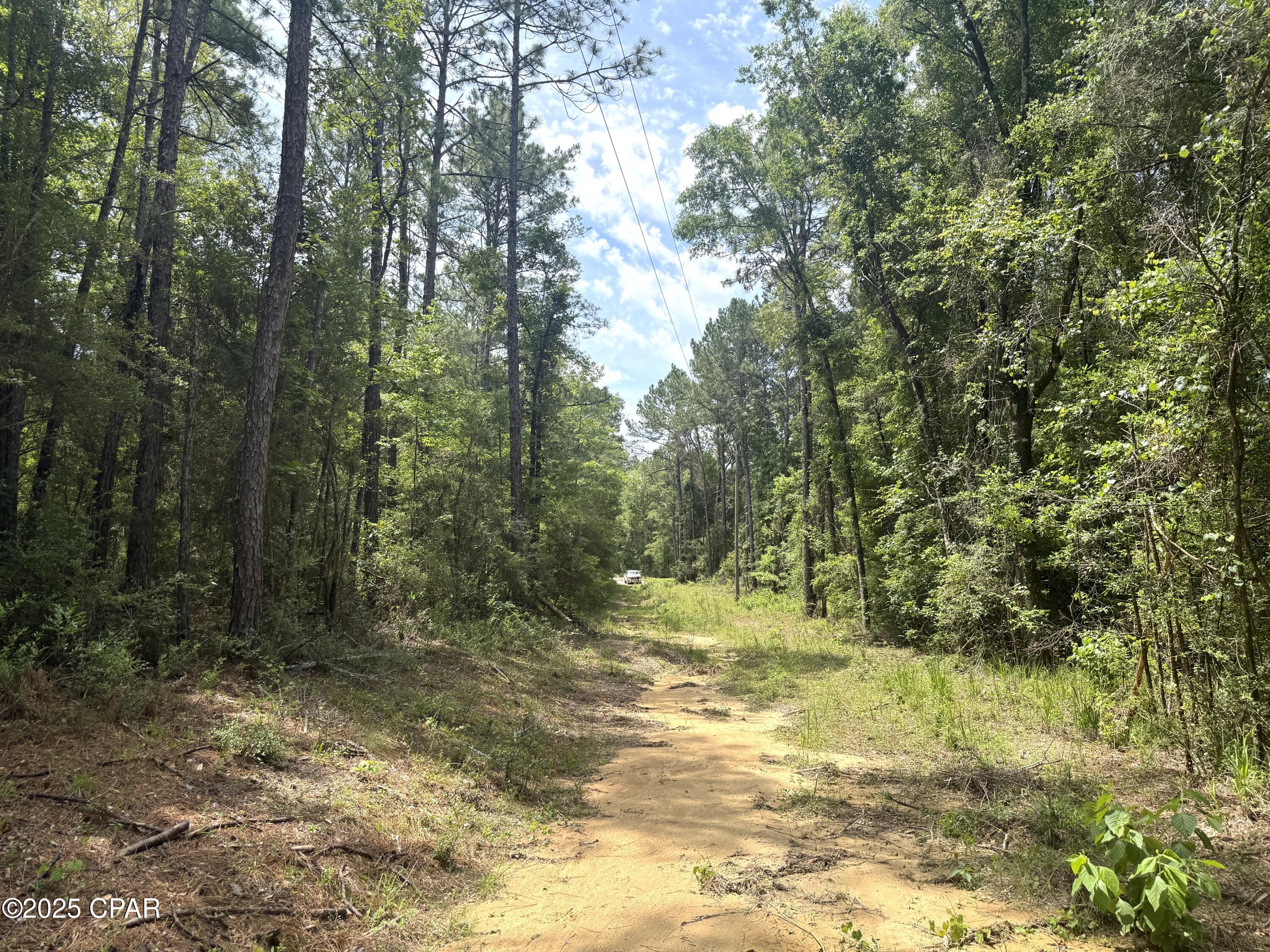 5266 Choctaw Rd Road, Vernon, Florida image 9