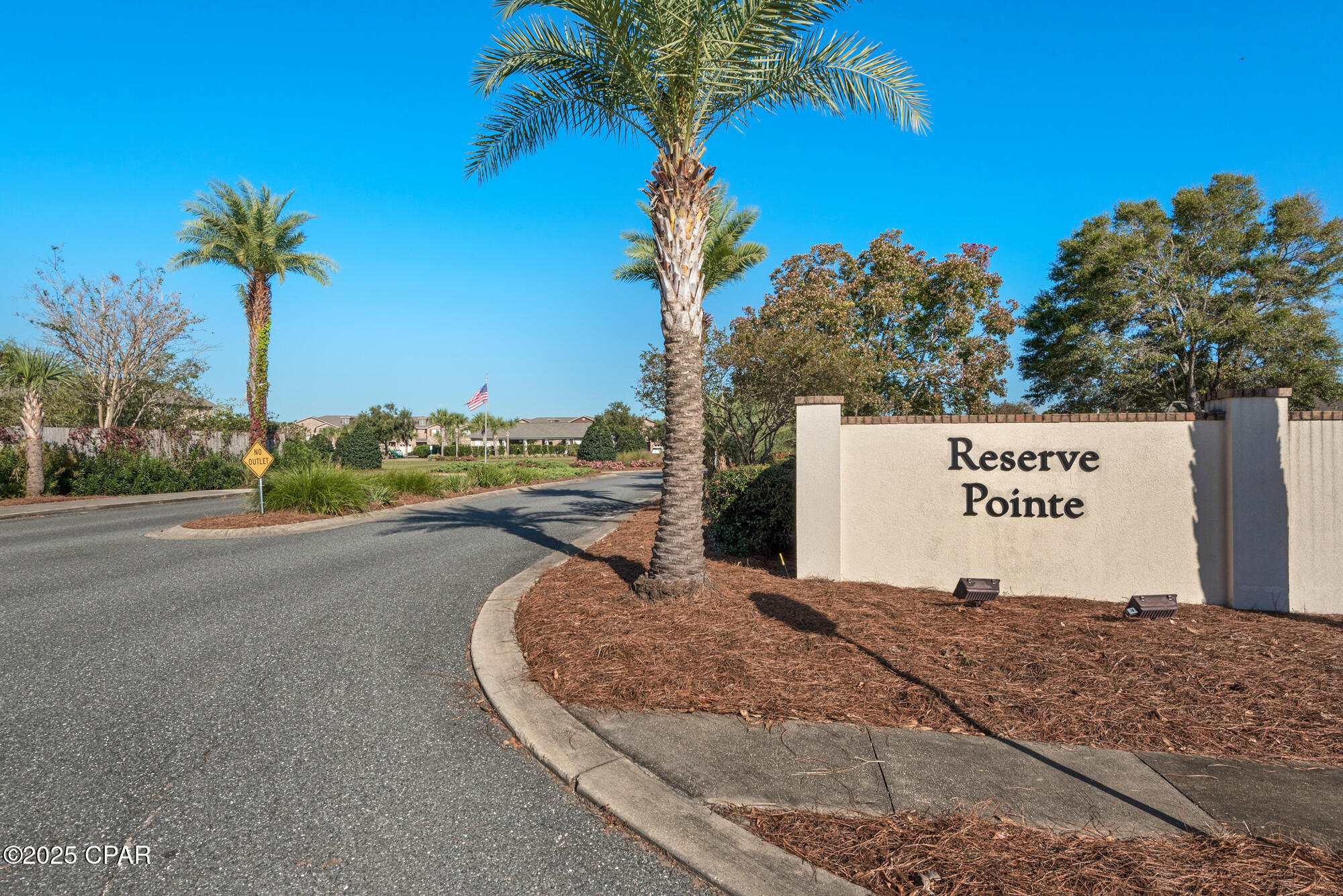 2065 Wilsons Plover Circle, Navarre, Florida image 1