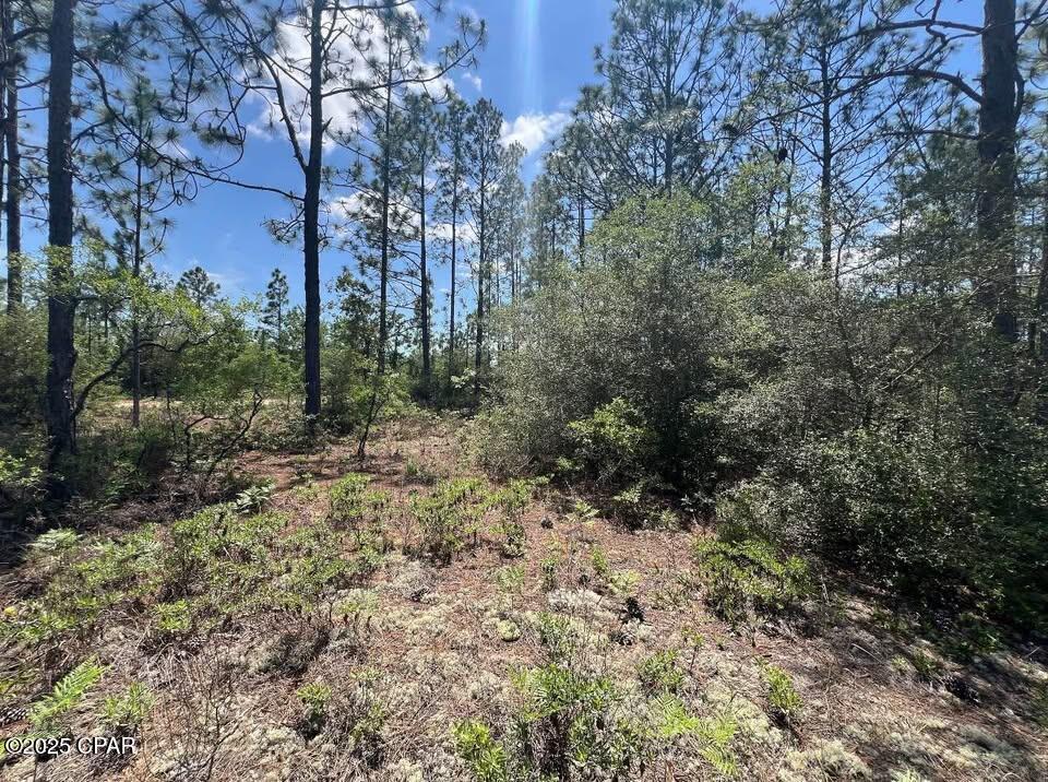 3974 NW Joy Lane, Altha, Florida image 6