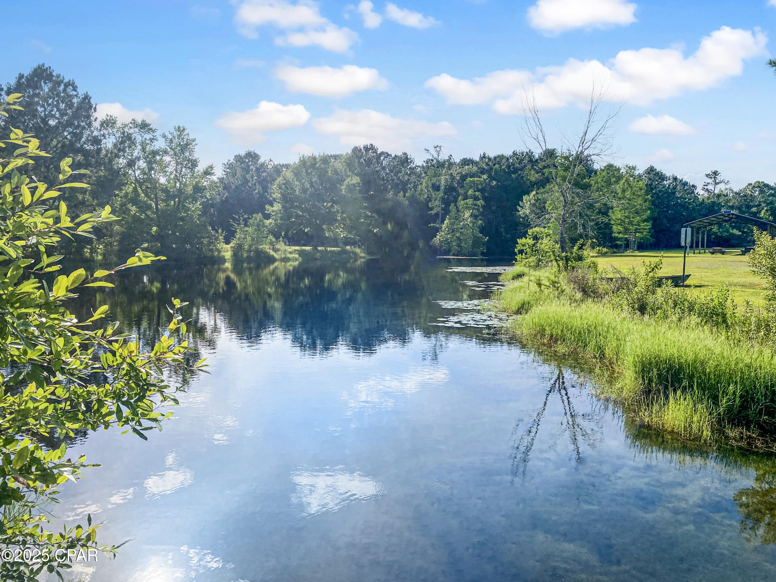 561 Lakepointe Drive, Chipley, Florida image 47