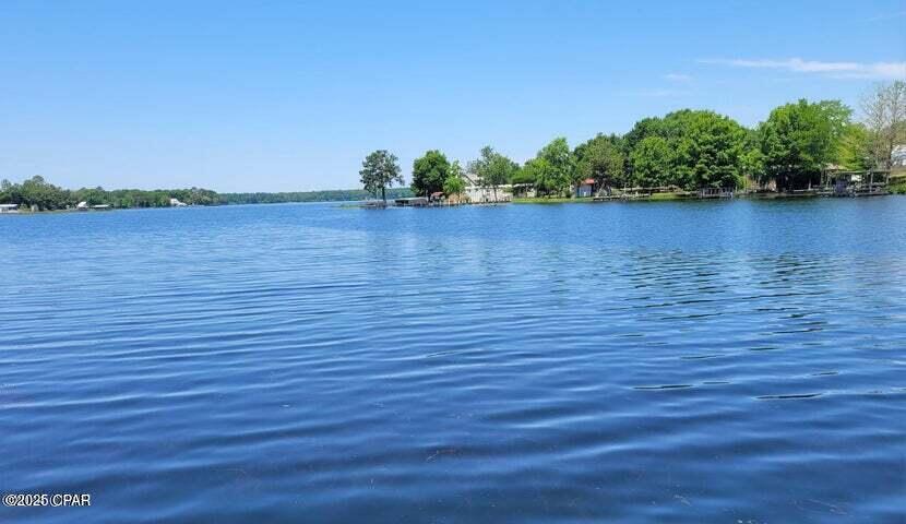 234 Red Eye Road, Defuniak Springs, Florida image 4