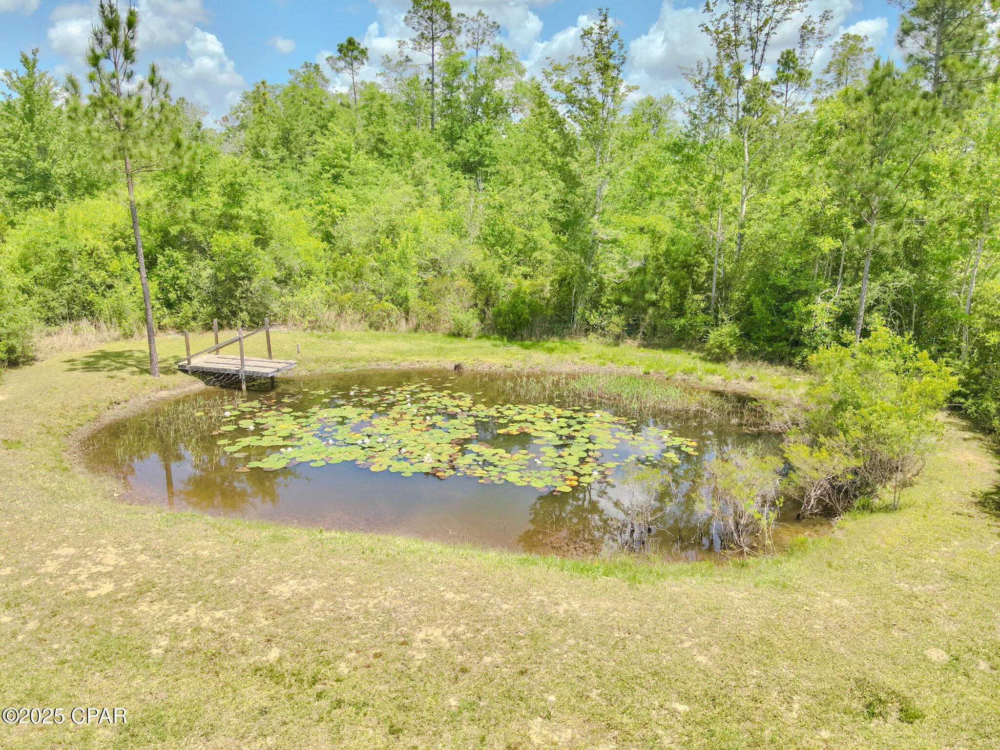 2281 Seay Road, Cottondale, Florida image 46