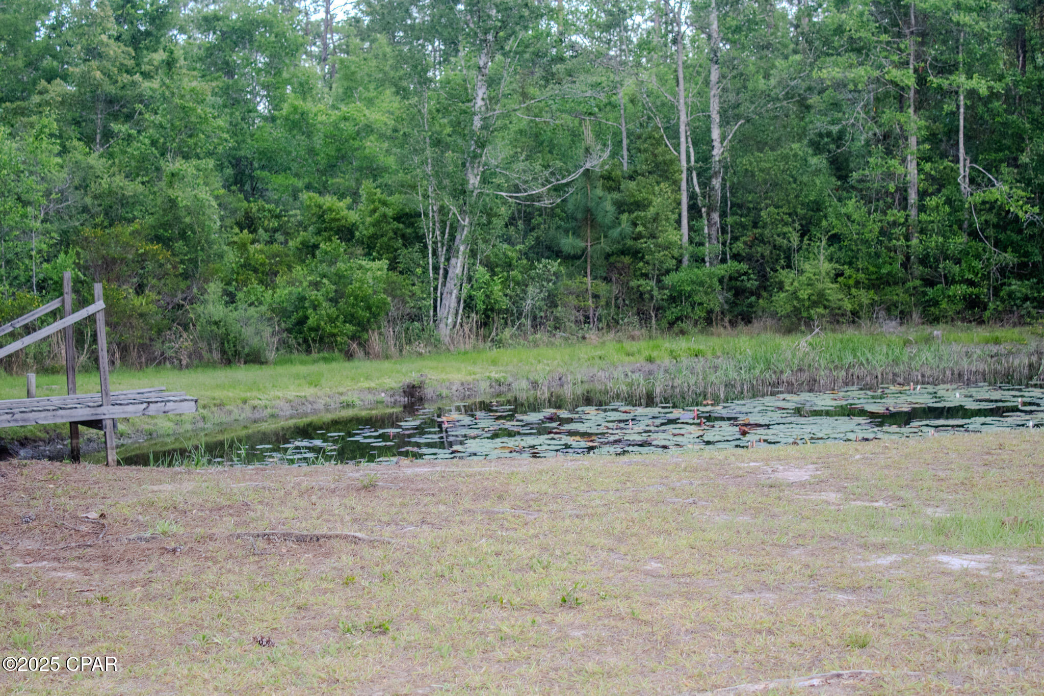 2281 Seay Road, Cottondale, Florida image 47
