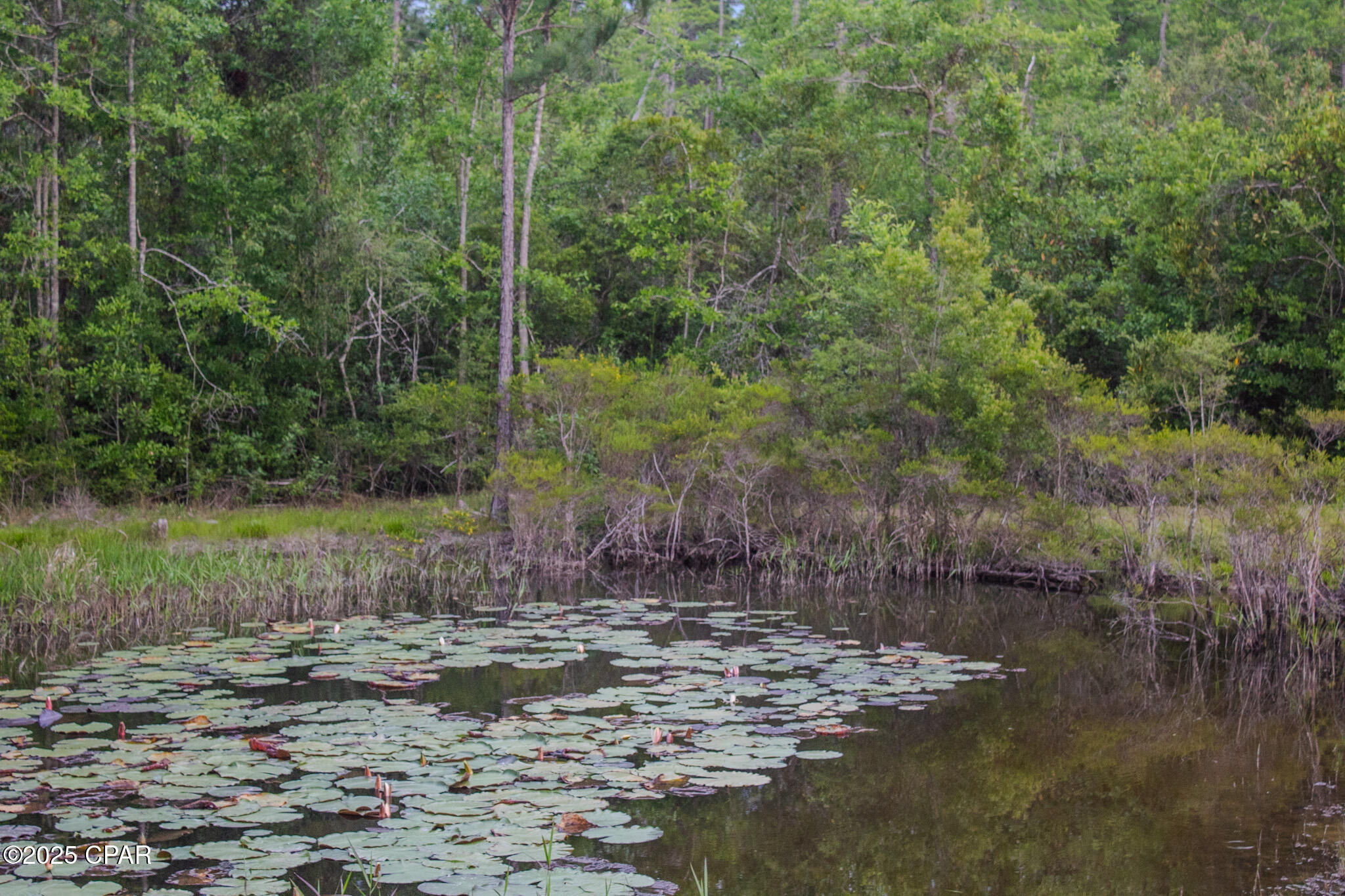 2281 Seay Road, Cottondale, Florida image 48