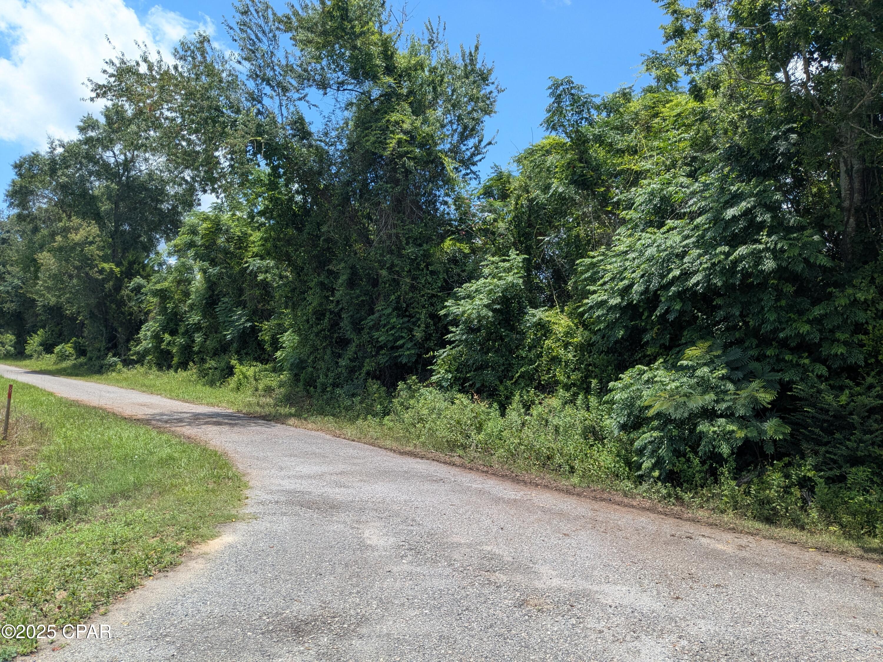 Gray Lane, Campbellton, Florida image 3