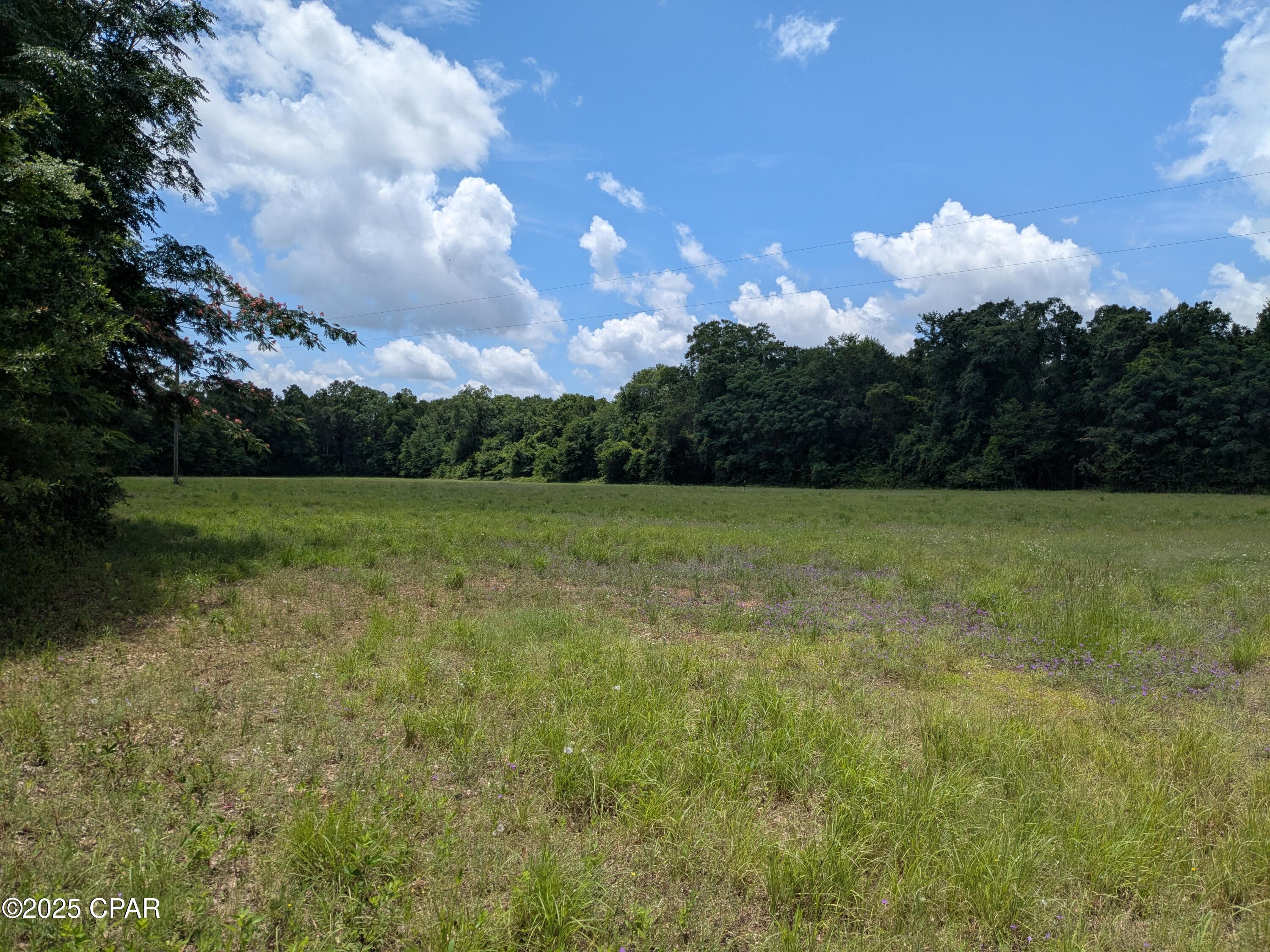 Gray Lane, Campbellton, Florida image 4