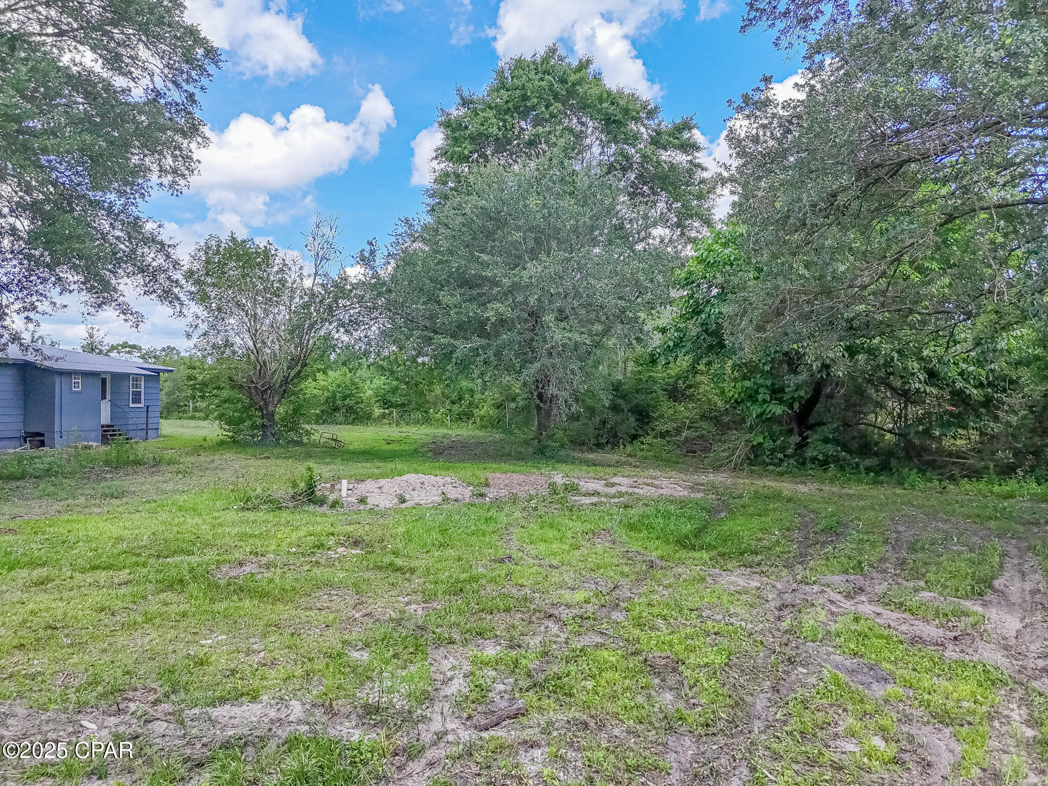 25966 George Maloy Lane, Altha, Florida image 27