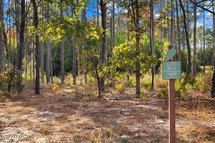 1609 Dayflower Drive, Panama City Beach, Florida image 5