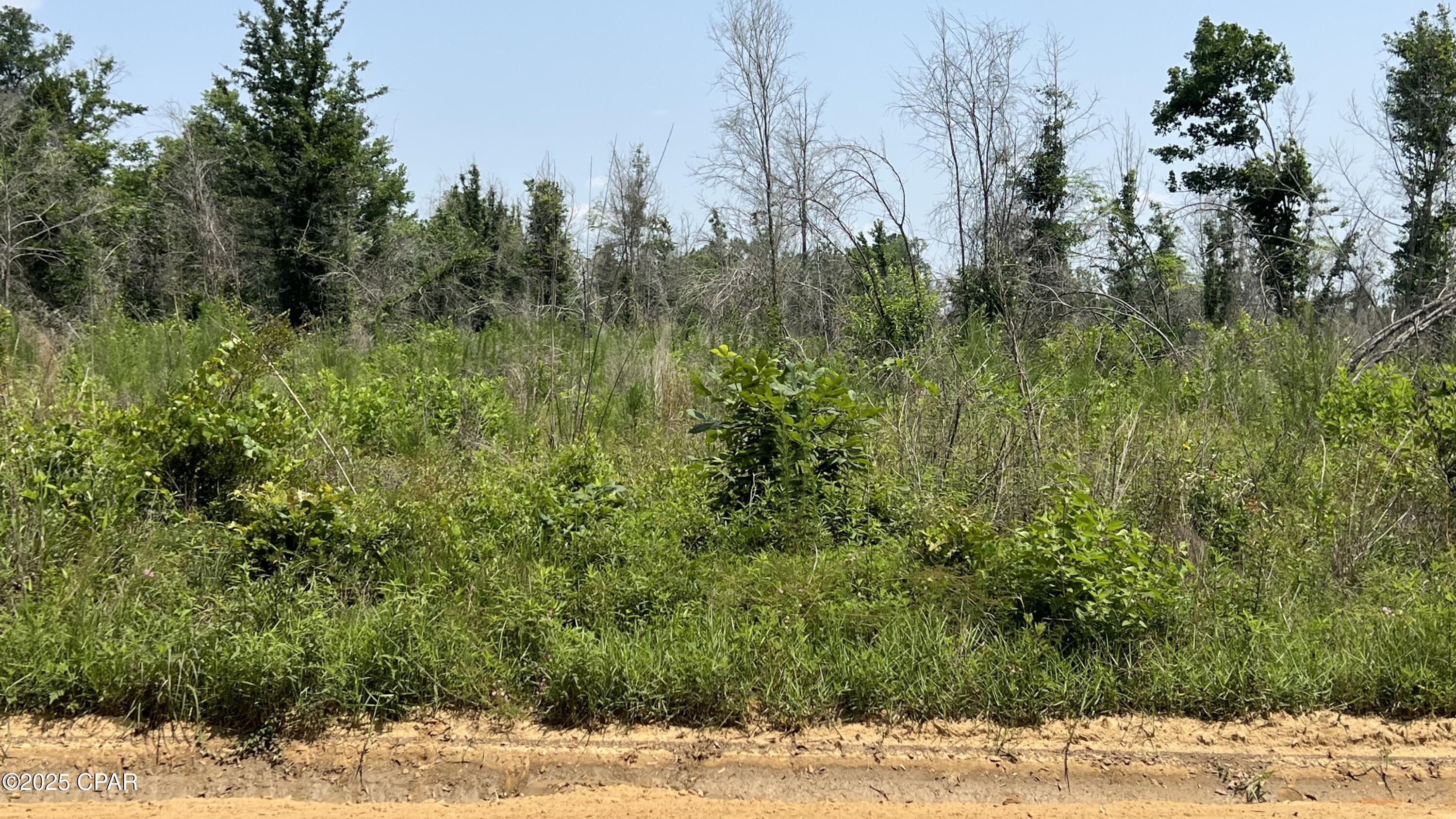00 Christmas Road, Campbellton, Florida image 3