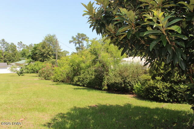 2100 3rd Avenue, Sneads, Florida image 16