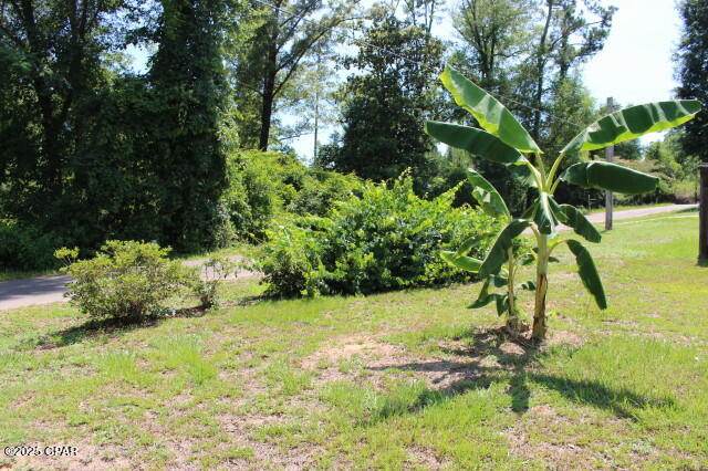 2100 3rd Avenue, Sneads, Florida image 23