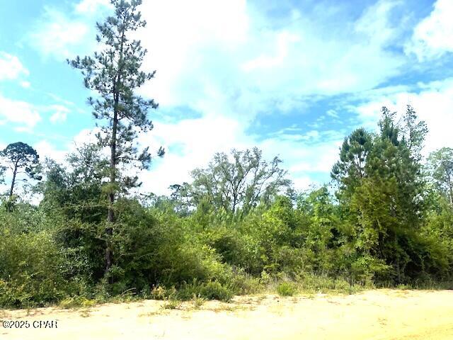 Laurel Circle, Alford, Florida image 3