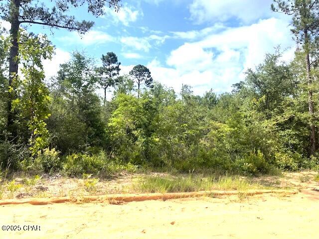 Laurel Circle, Alford, Florida image 5