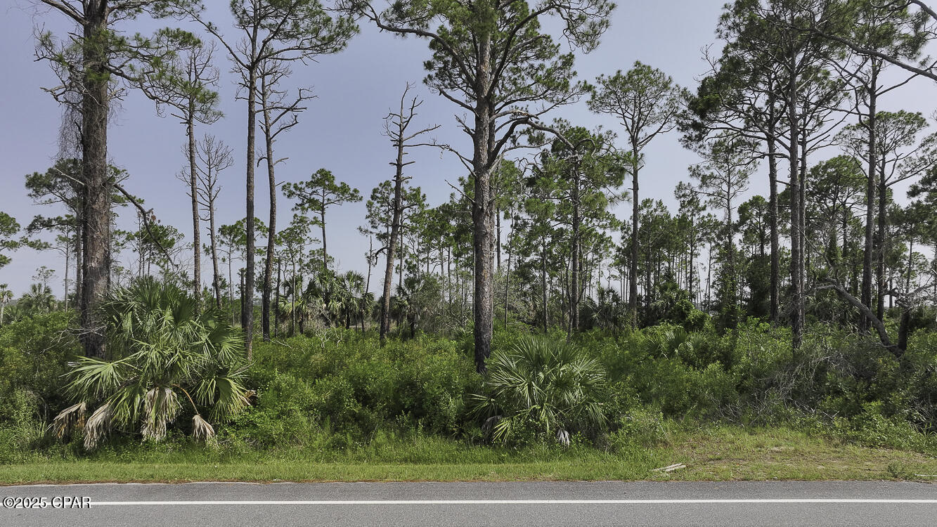 Lot 24 Cr-30a, Port St. Joe, Florida image 3