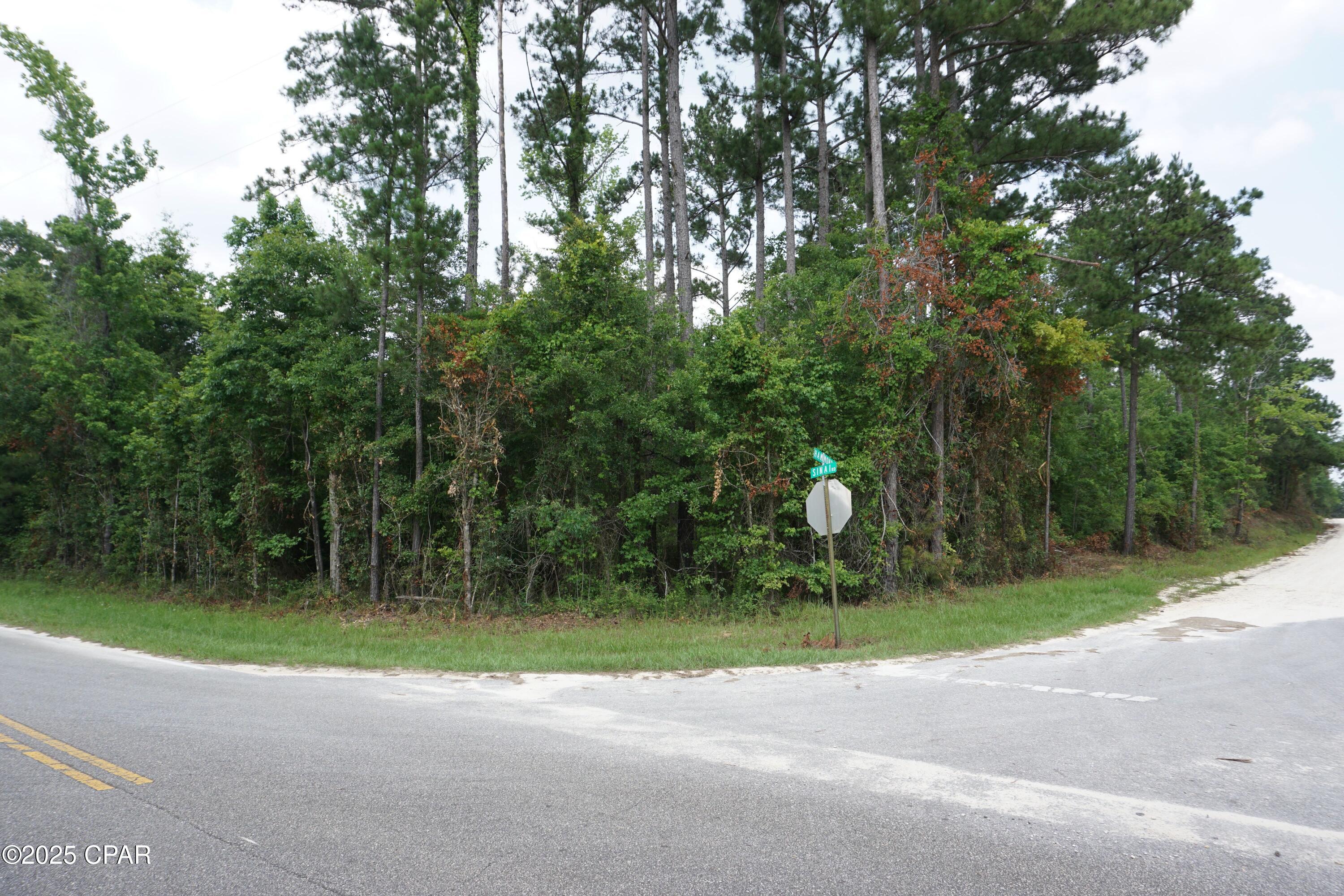 Xxx Hammond Road, Sneads, Florida image 2