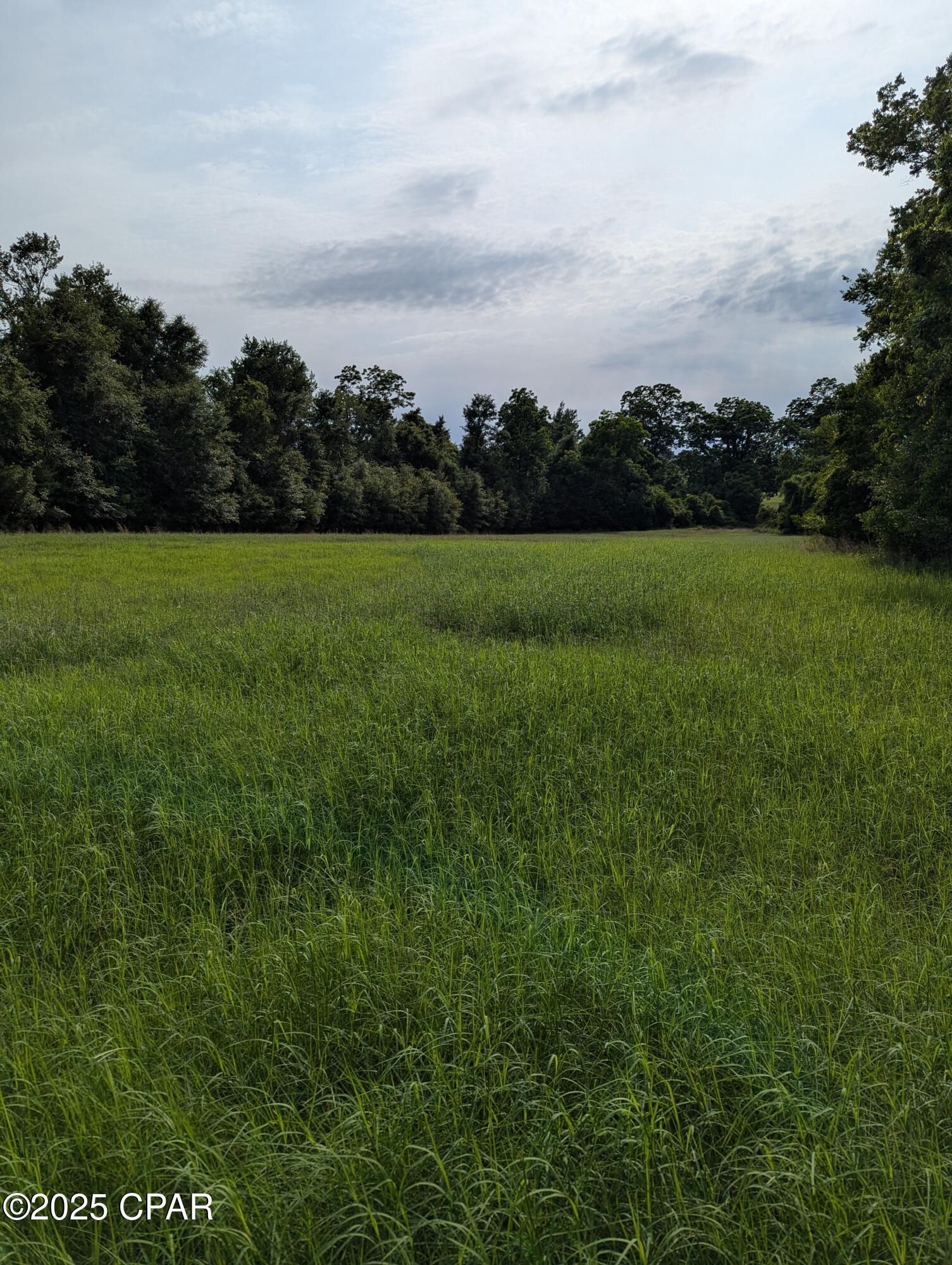 00 Poplar Springs Road, Marianna, Florida image 1