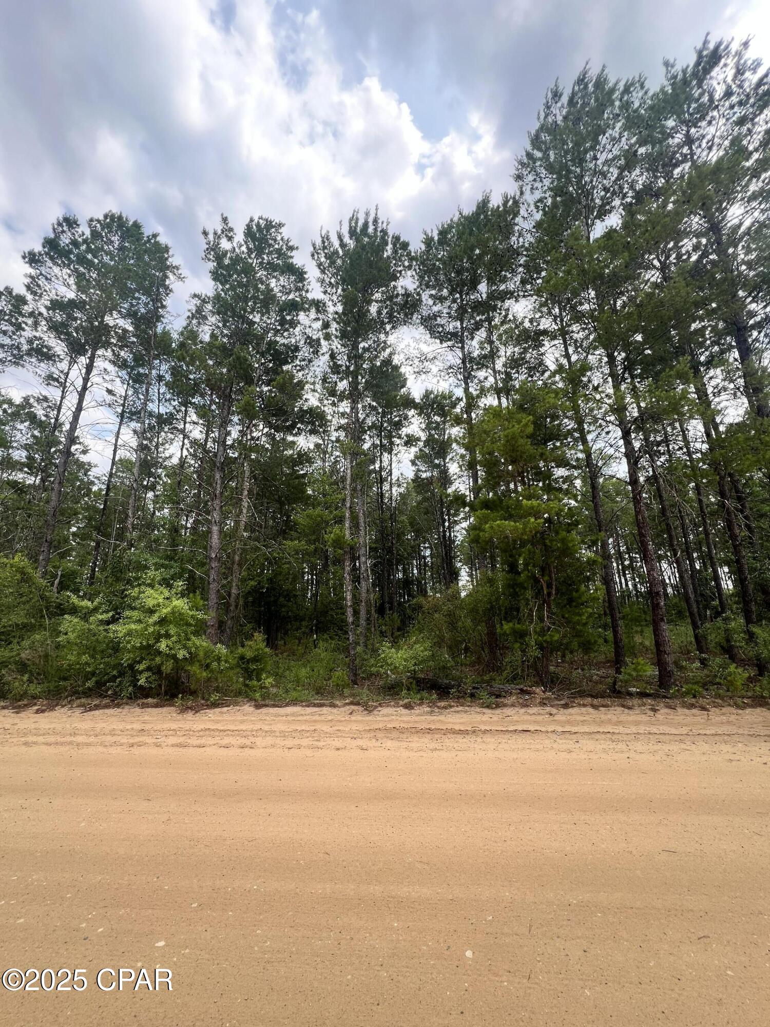 00 Fawnridge Drive, Chipley, Florida image 1