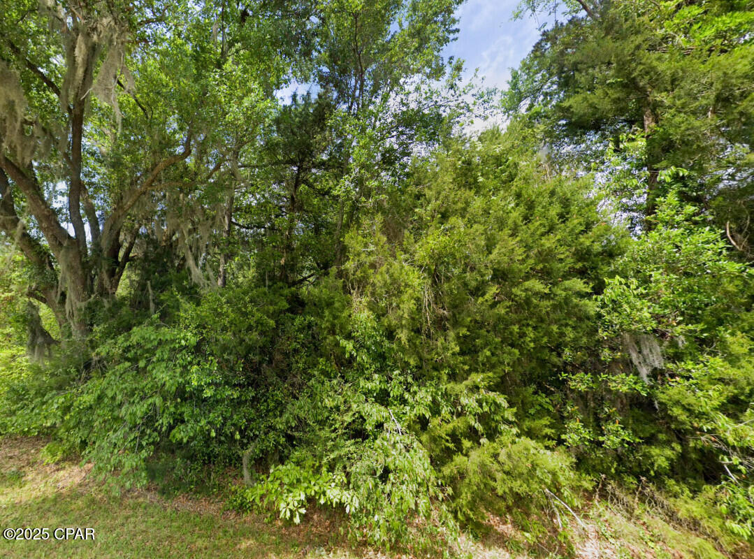 Messer Road, Sneads, Florida image 1