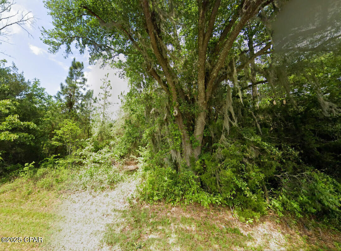 Messer Road, Sneads, Florida image 3