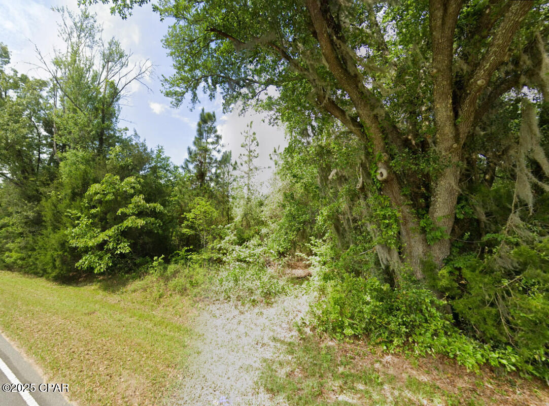 Messer Road, Sneads, Florida image 5