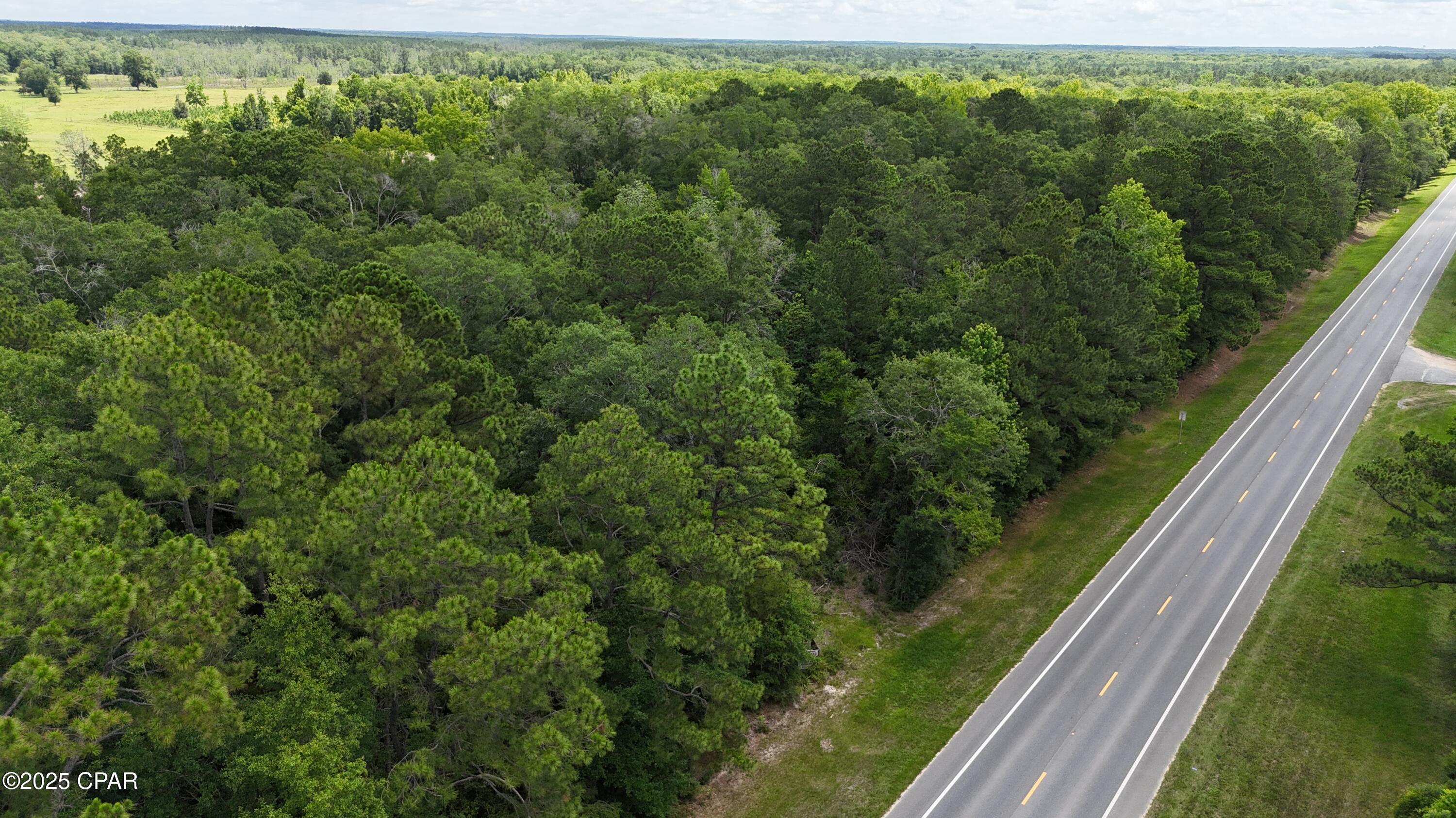 00 E Hwy 90, Bonifay, Florida image 3