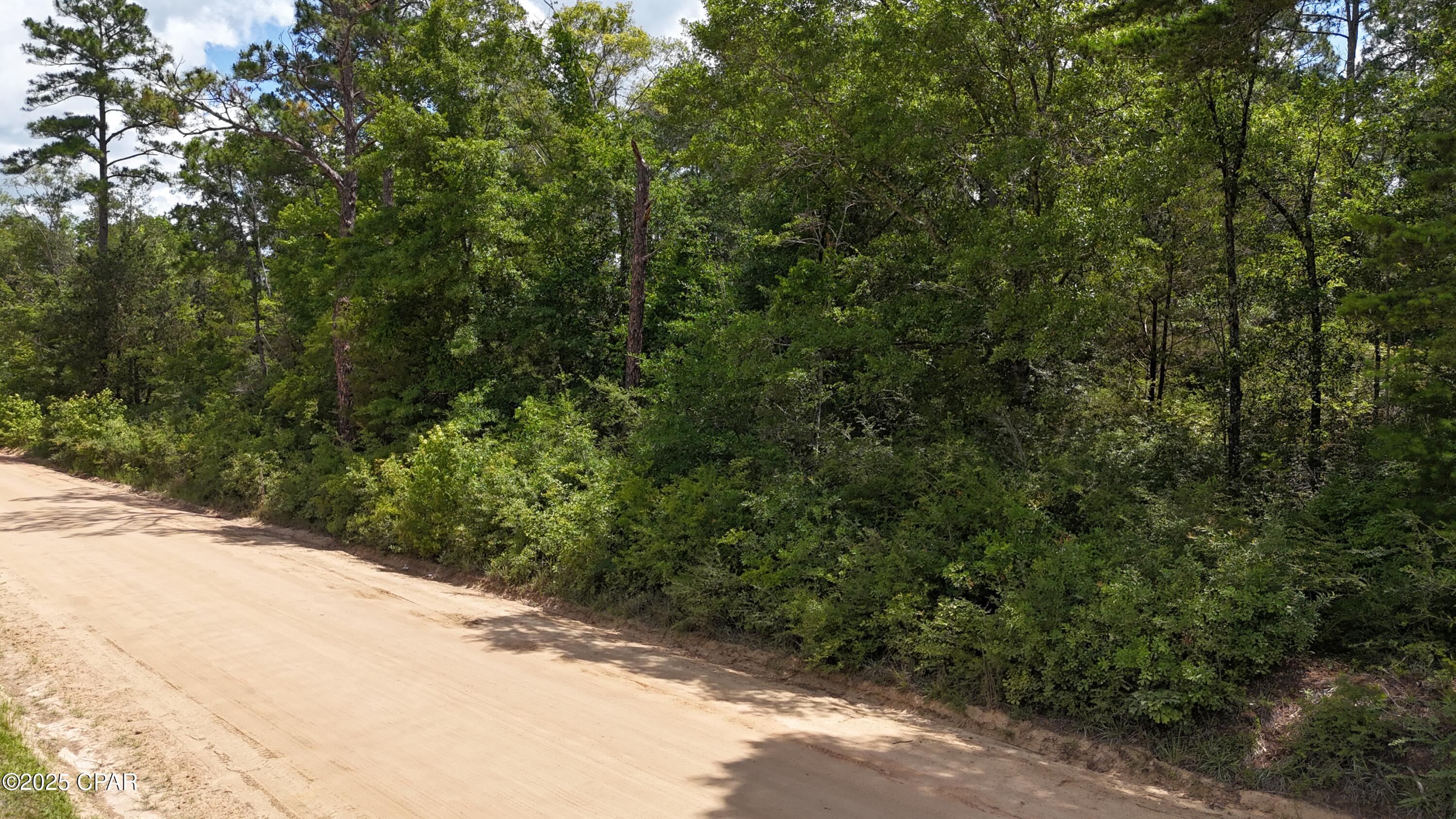 00 E Hwy 90, Bonifay, Florida image 5