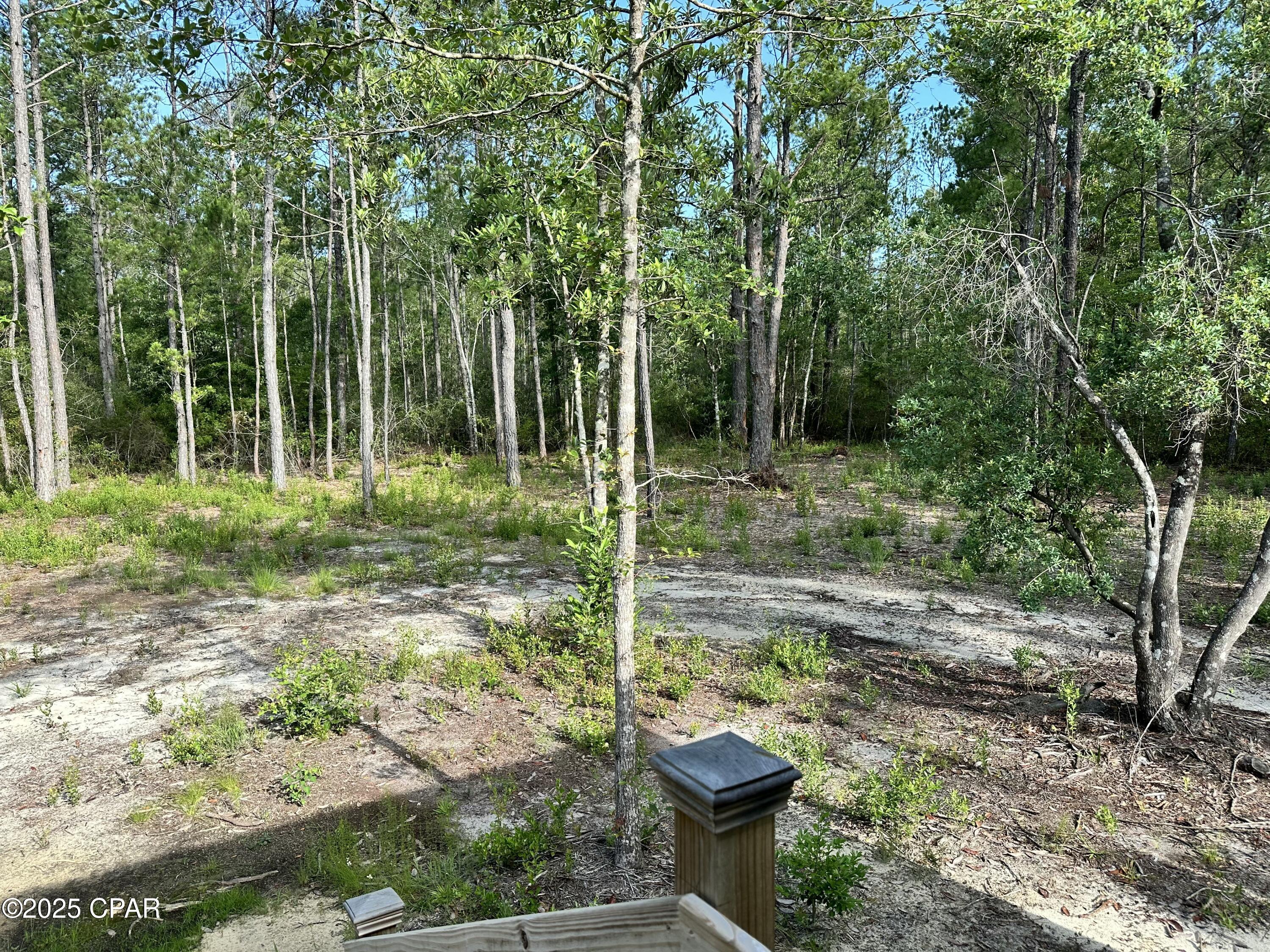 3966 Shell Landing Road, Vernon, Florida image 11