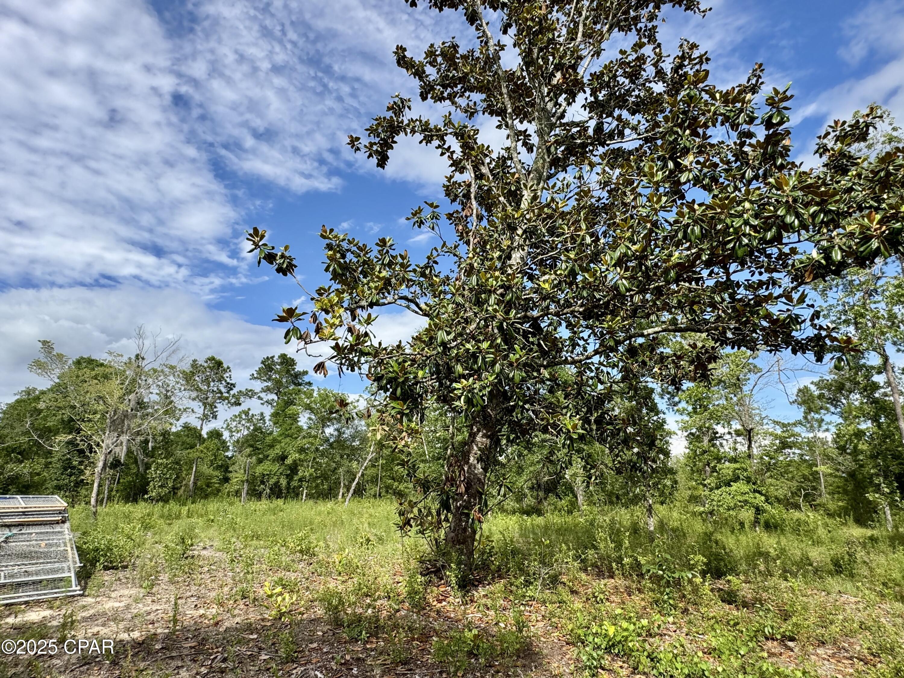 Details for 0 Baker Avenue, Alford, FL 32420
