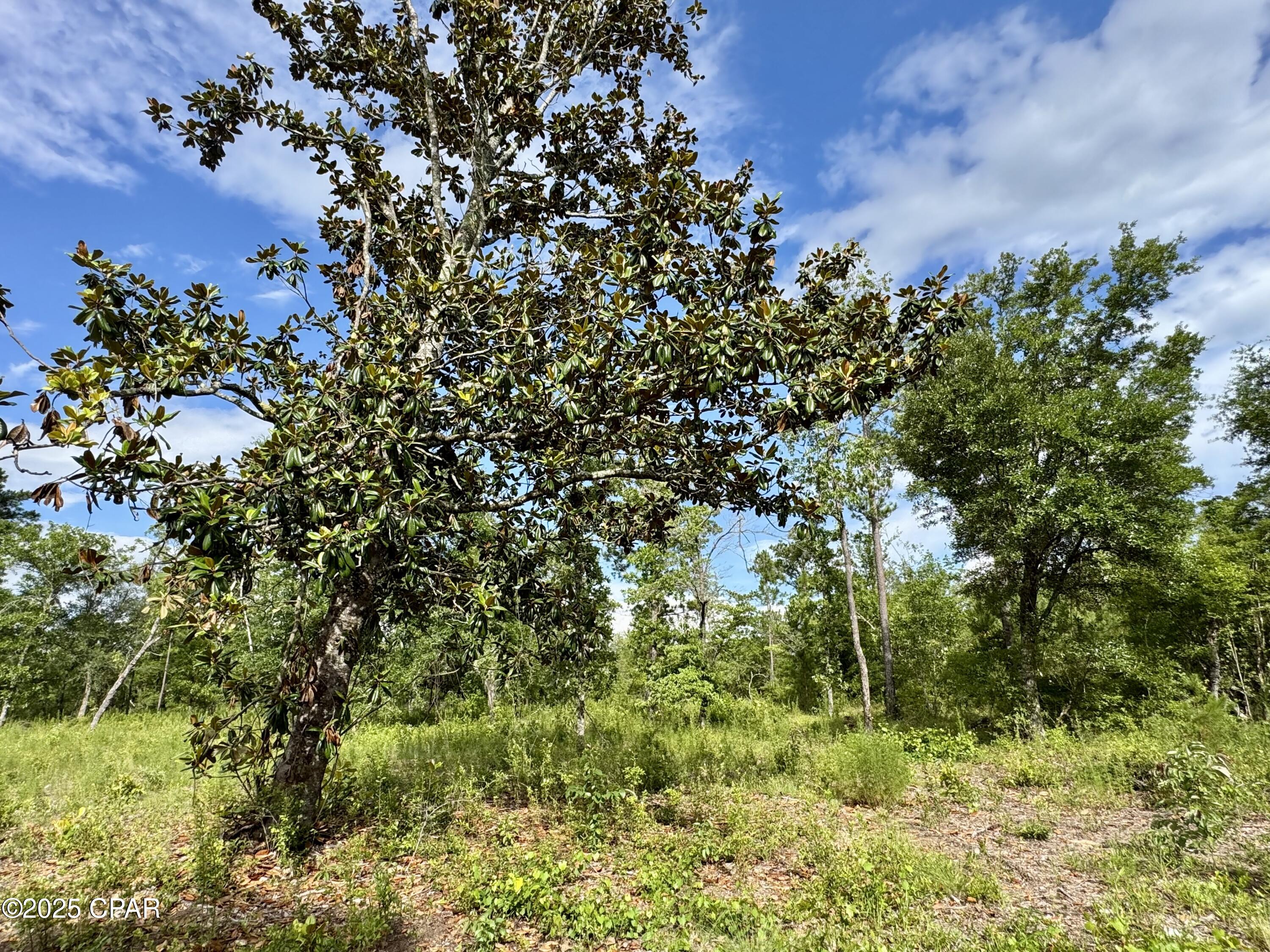 Baker Avenue, Alford, Florida image 11