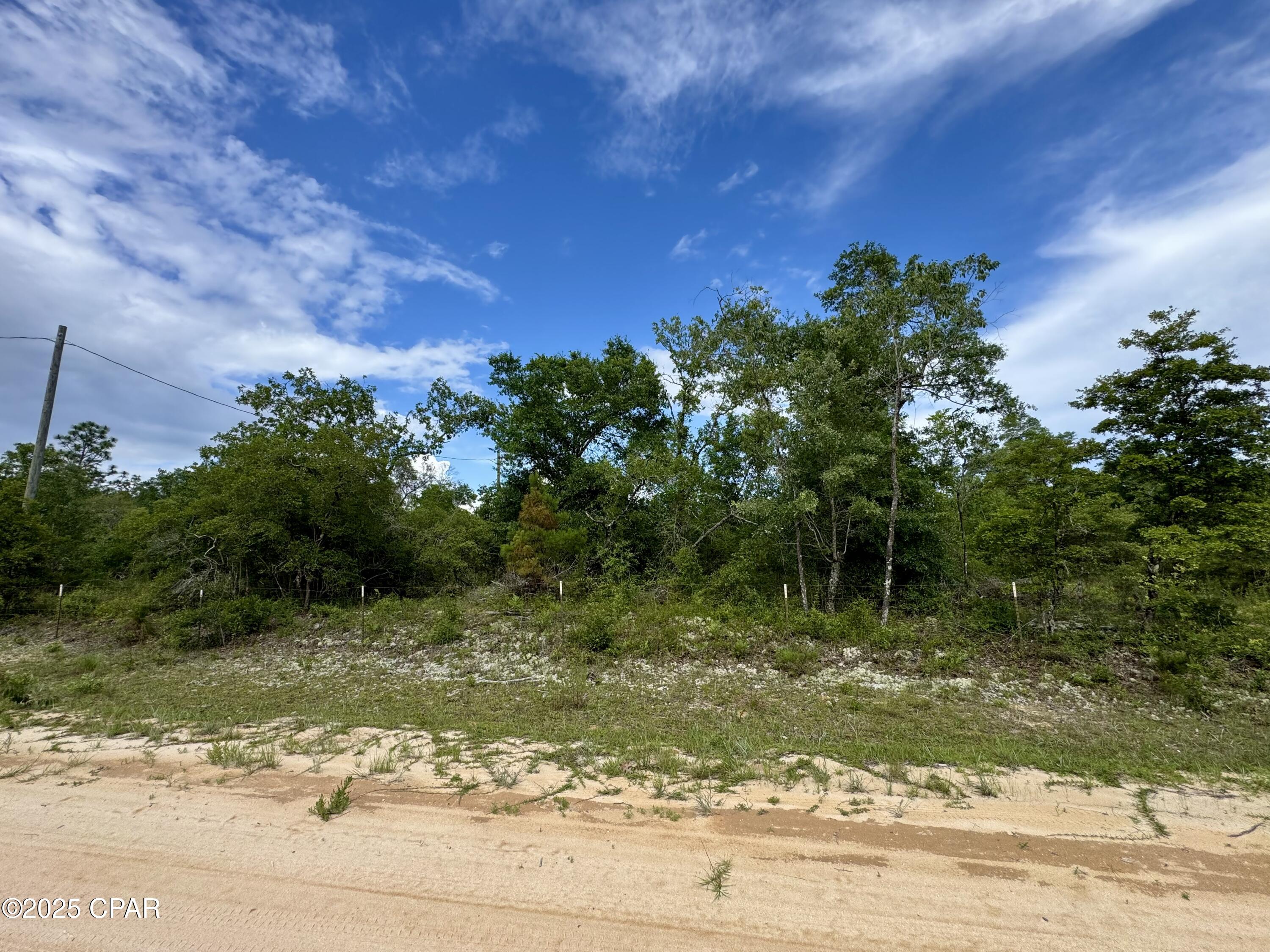 Baker Avenue, Alford, Florida image 19