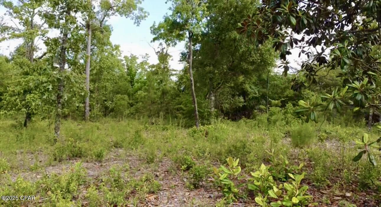 Baker Avenue, Alford, Florida image 2