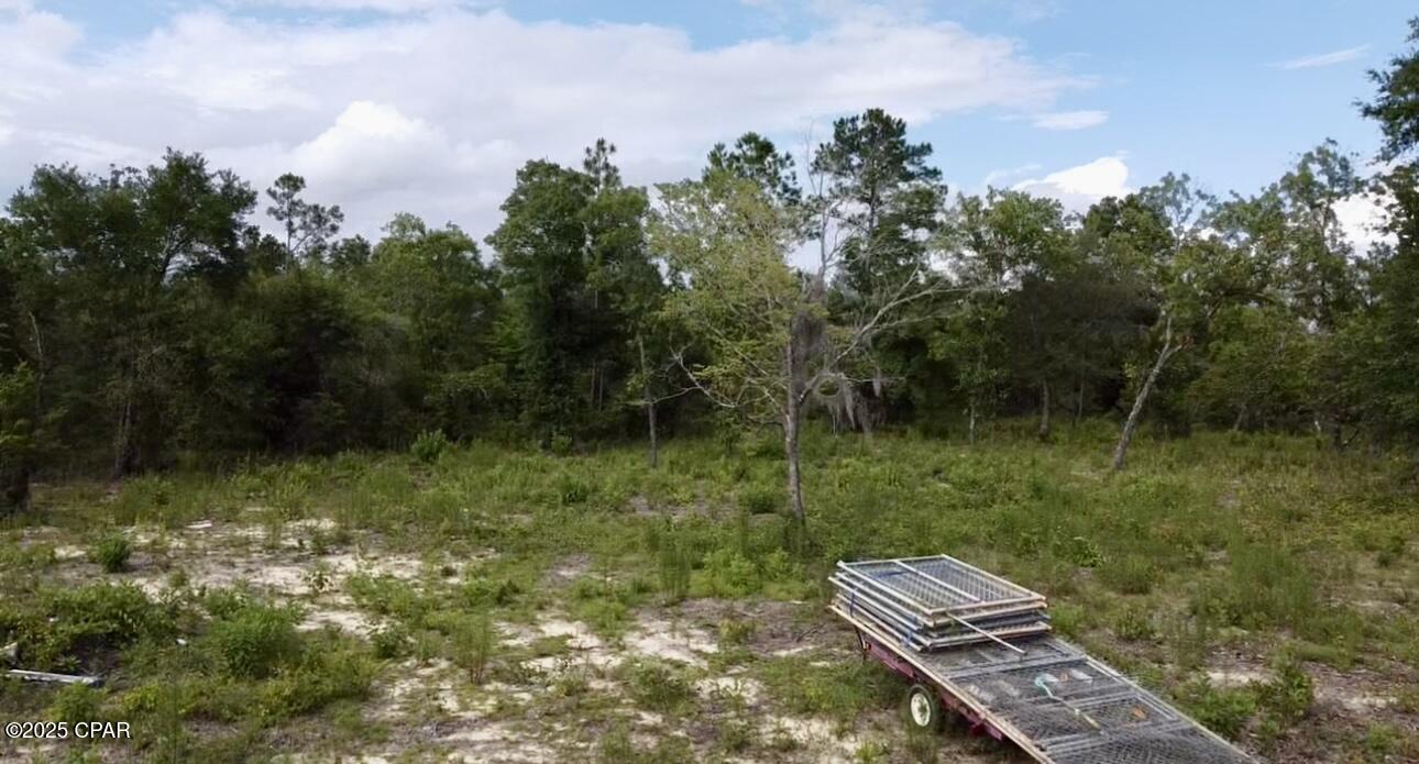 Baker Avenue, Alford, Florida image 5