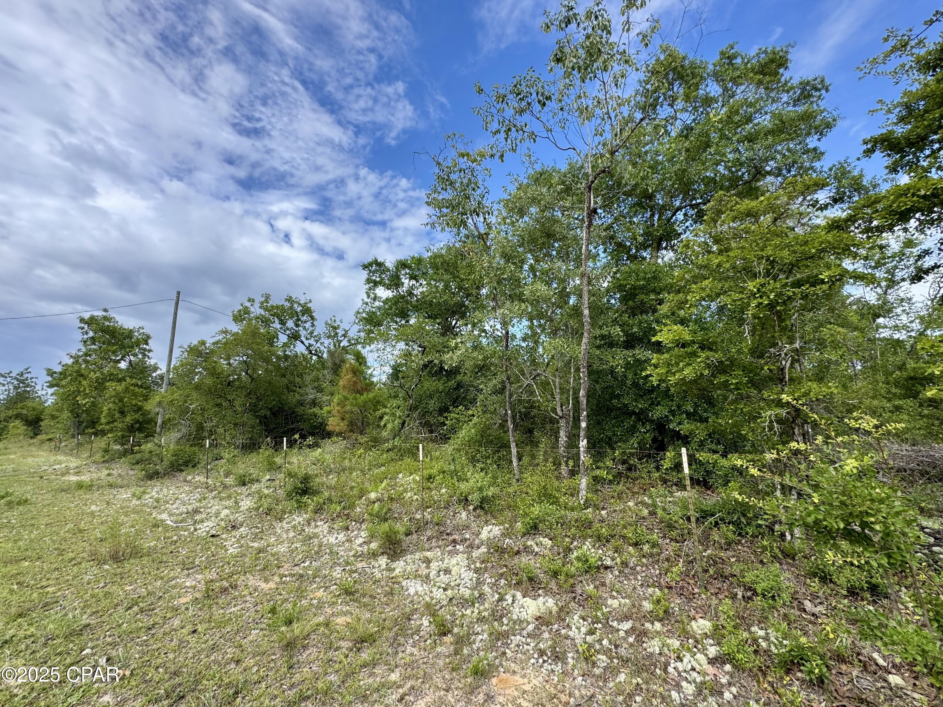 Baker Avenue, Alford, Florida image 7
