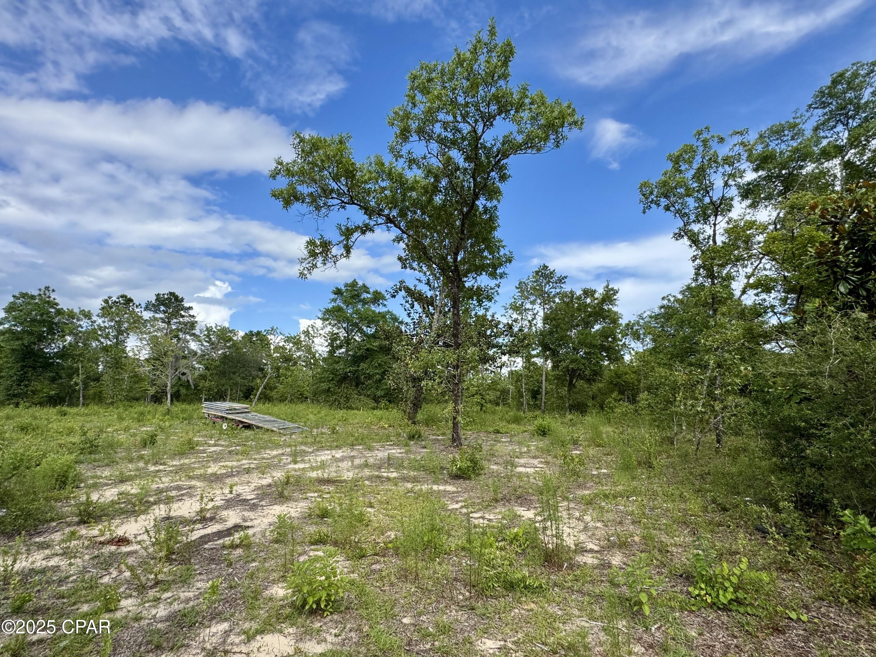 Baker Avenue, Alford, Florida image 8