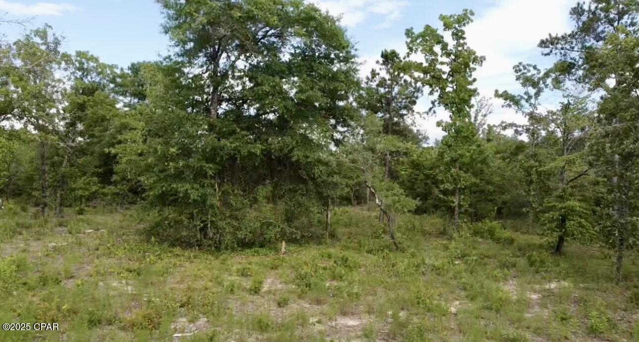 Baker Avenue, Alford, Florida image 9