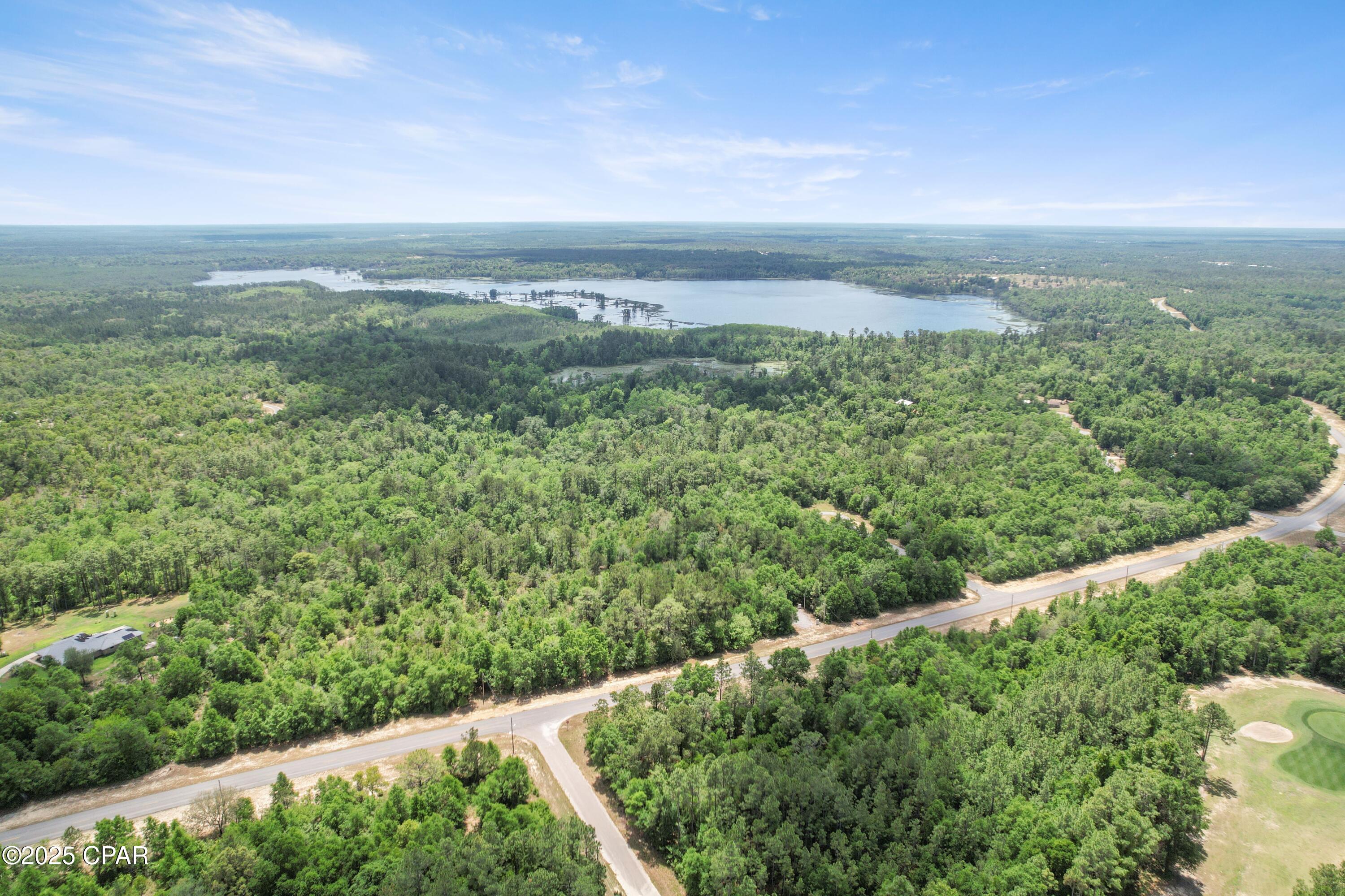1335 Birwood Drive, Chipley, Florida image 21