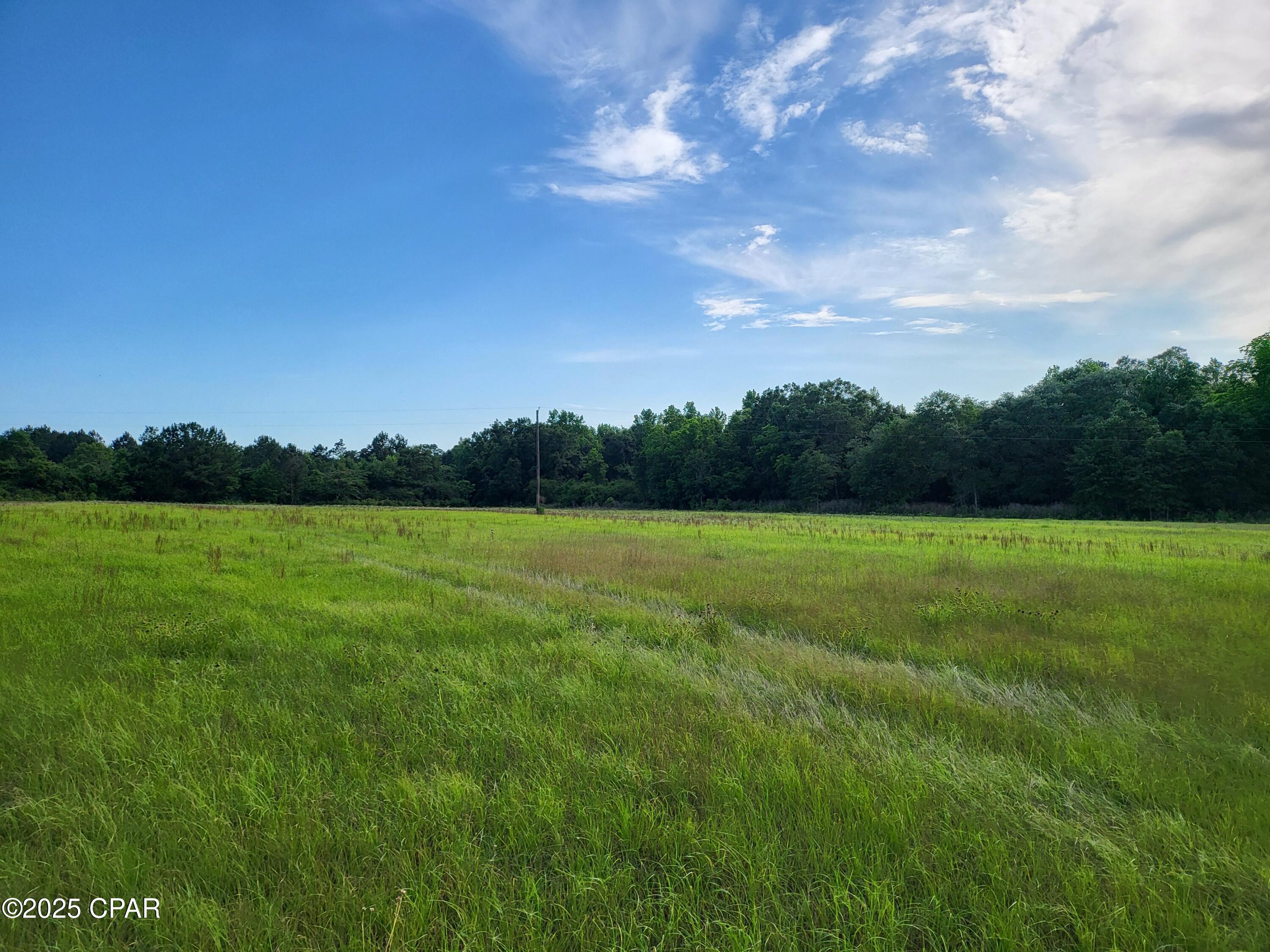 4597 Fowler Road, Graceville, Florida image 1