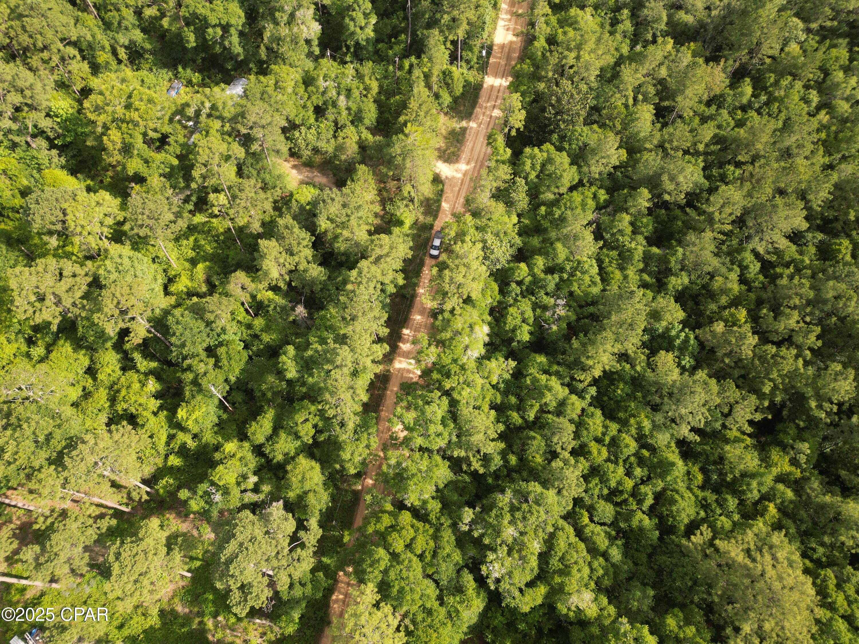 0000 Armstrong Mill Road, Vernon, Florida image 2
