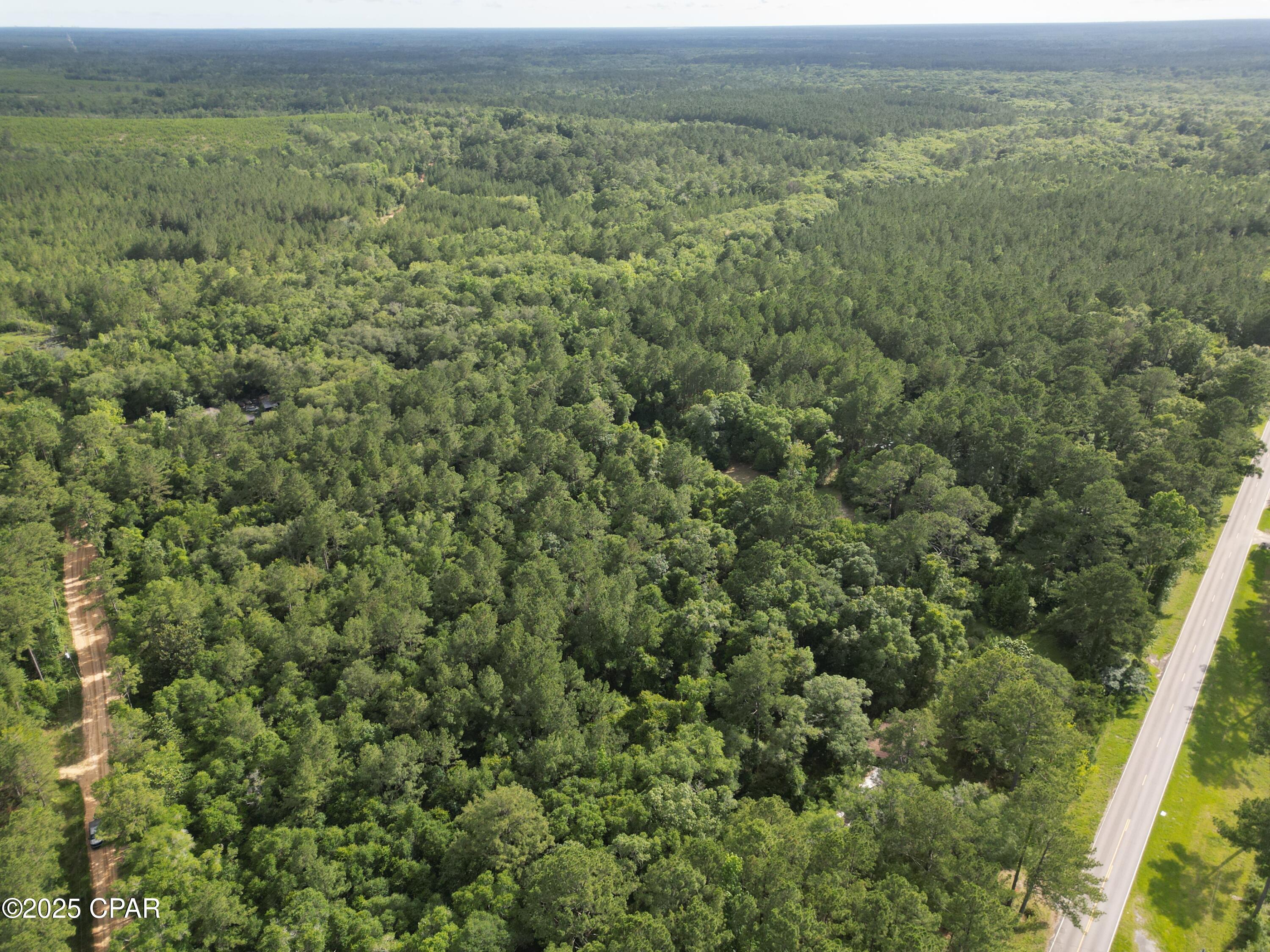 0000 Armstrong Mill Road, Vernon, Florida image 6