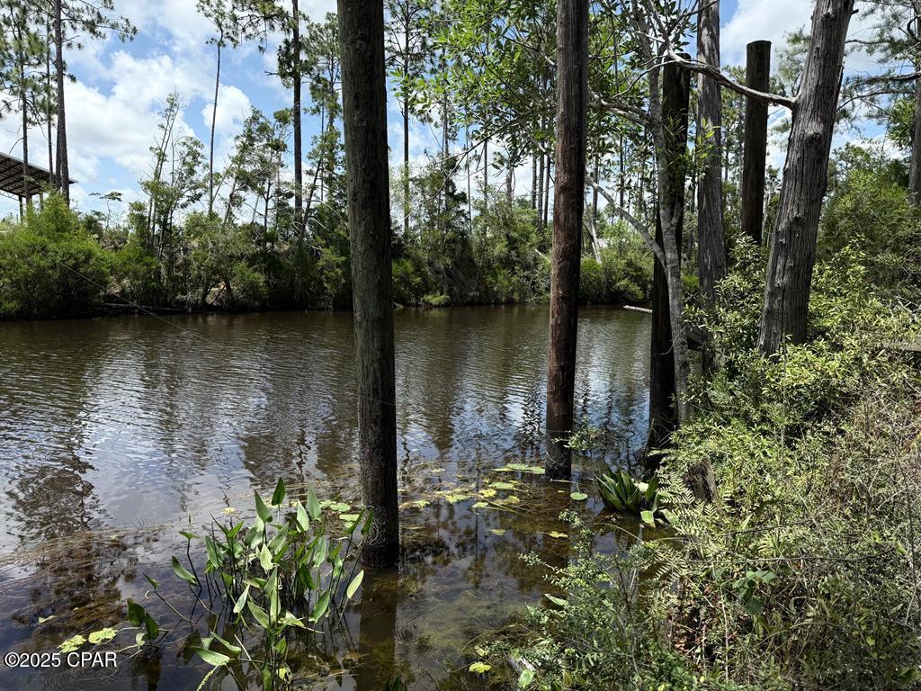 429 Spruce Avenue, Wewahitchka, Florida image 4
