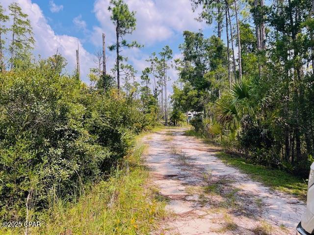 429 Spruce Avenue, Wewahitchka, Florida image 9