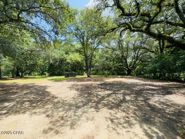 2839 Beall Packing Road, Bonifay, Florida image 25