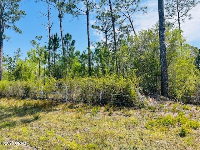 8942 County Road 386, Wewahitchka, Florida image 4